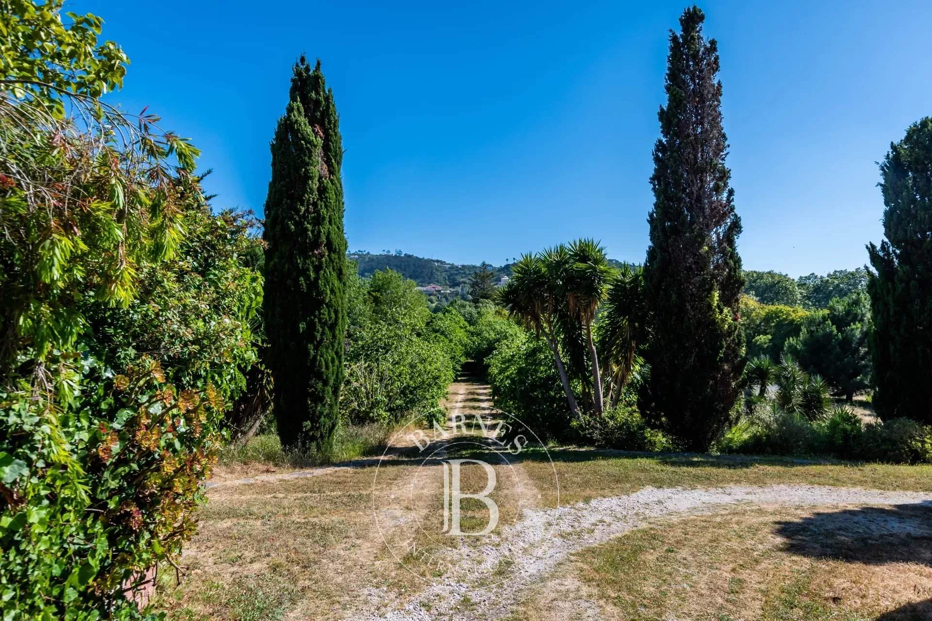   - Farm  - picture 15