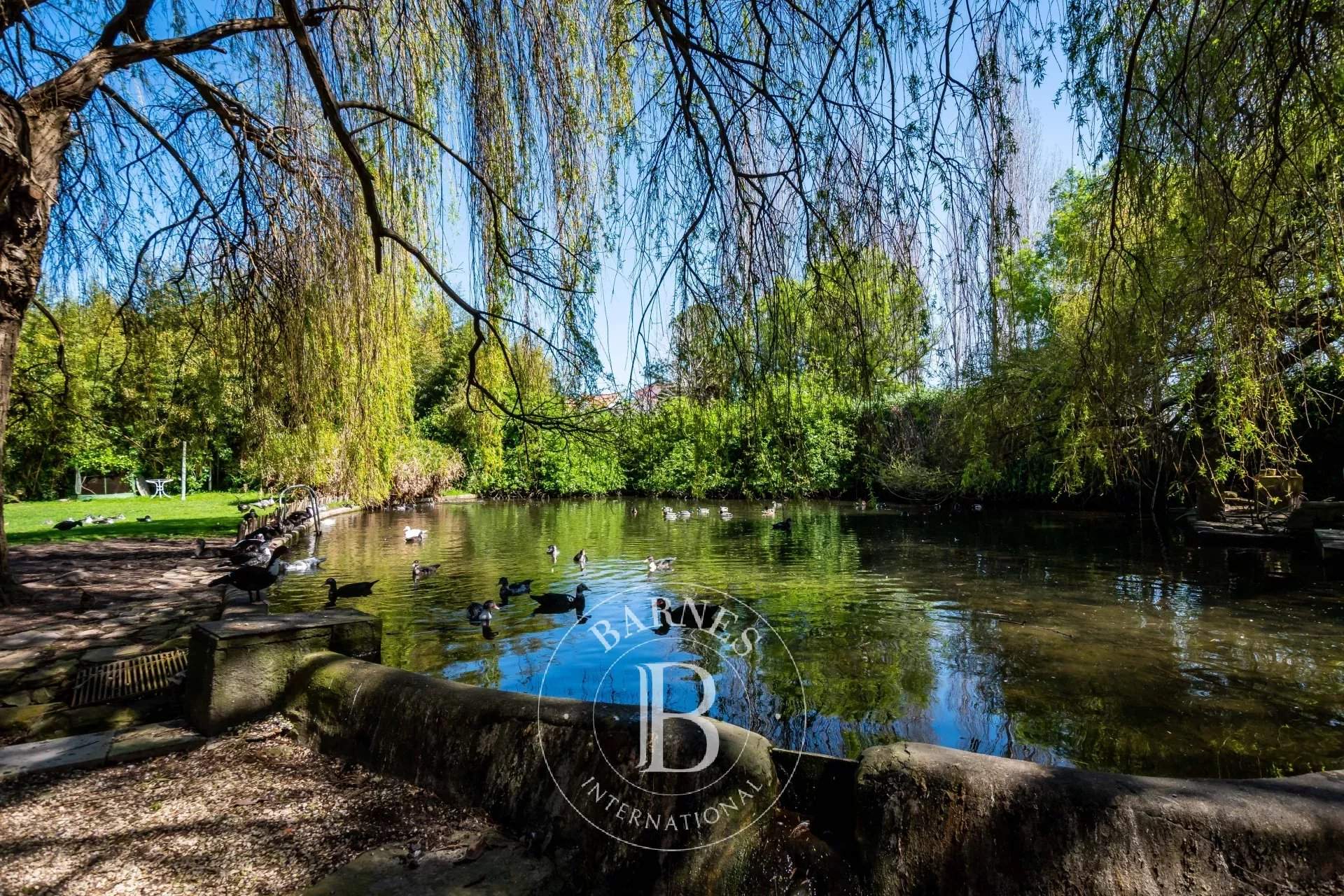   - Farm  - picture 16