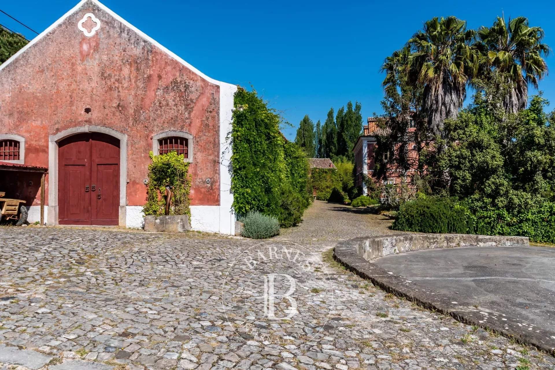   - Farm  - picture 17