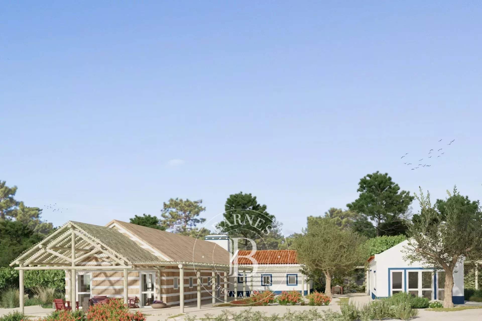 Carvalhal  - Terrain  - picture 8