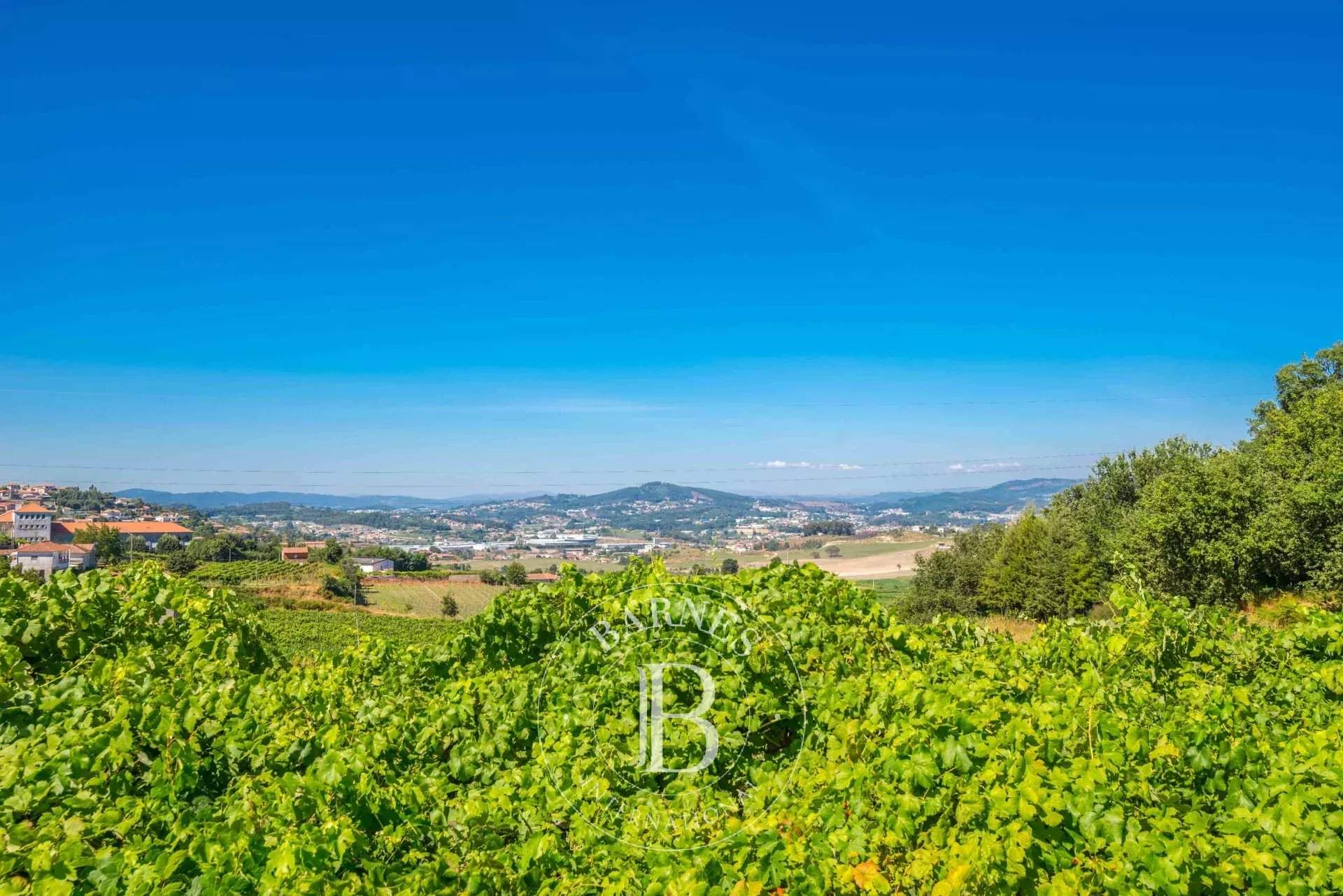 Roriz  - Granja 6 Cuartos 4 Habitaciones - picture 8