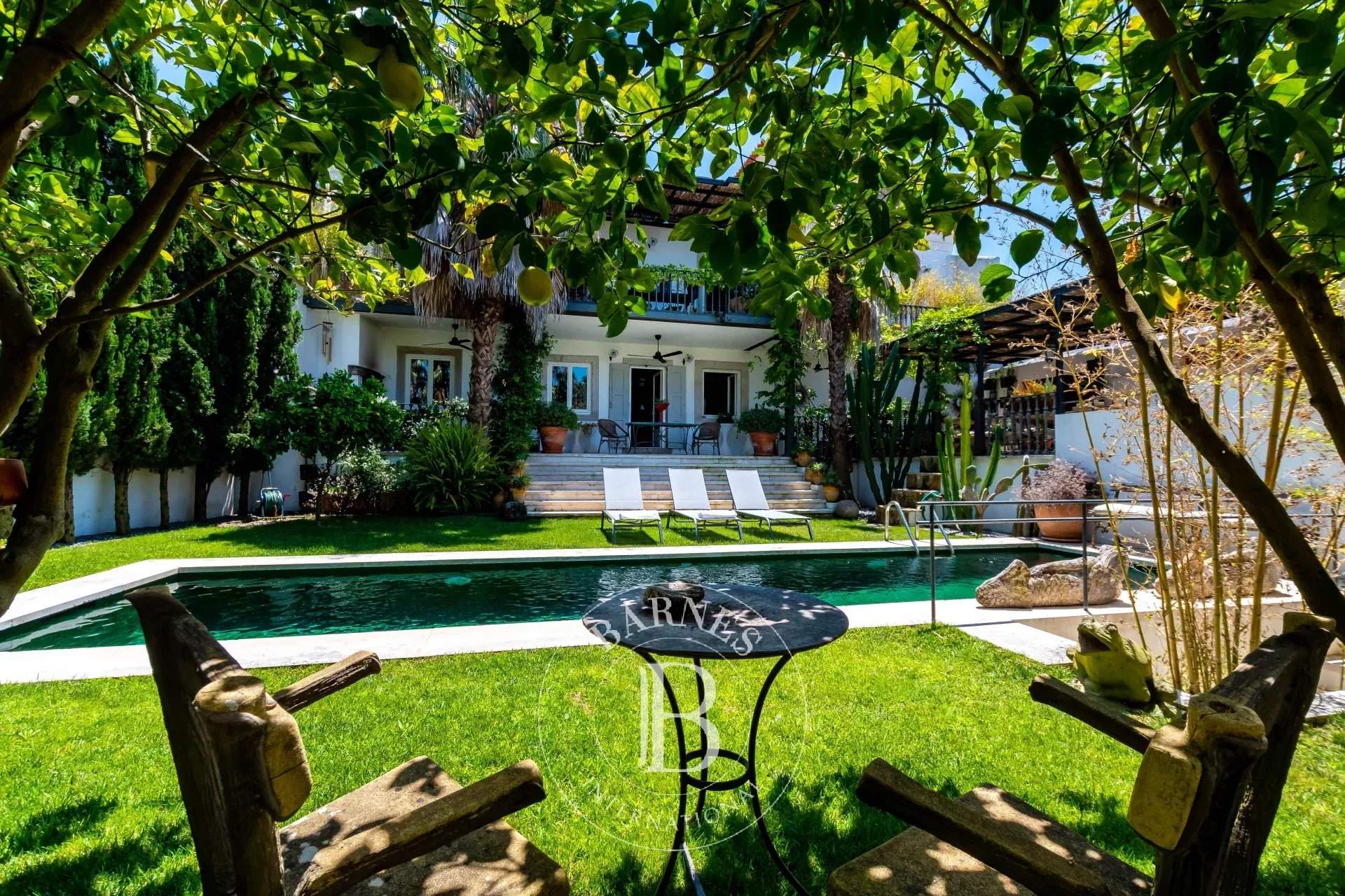 Azeitão (São Lourenço e São Simão)  - Maison  - picture 7