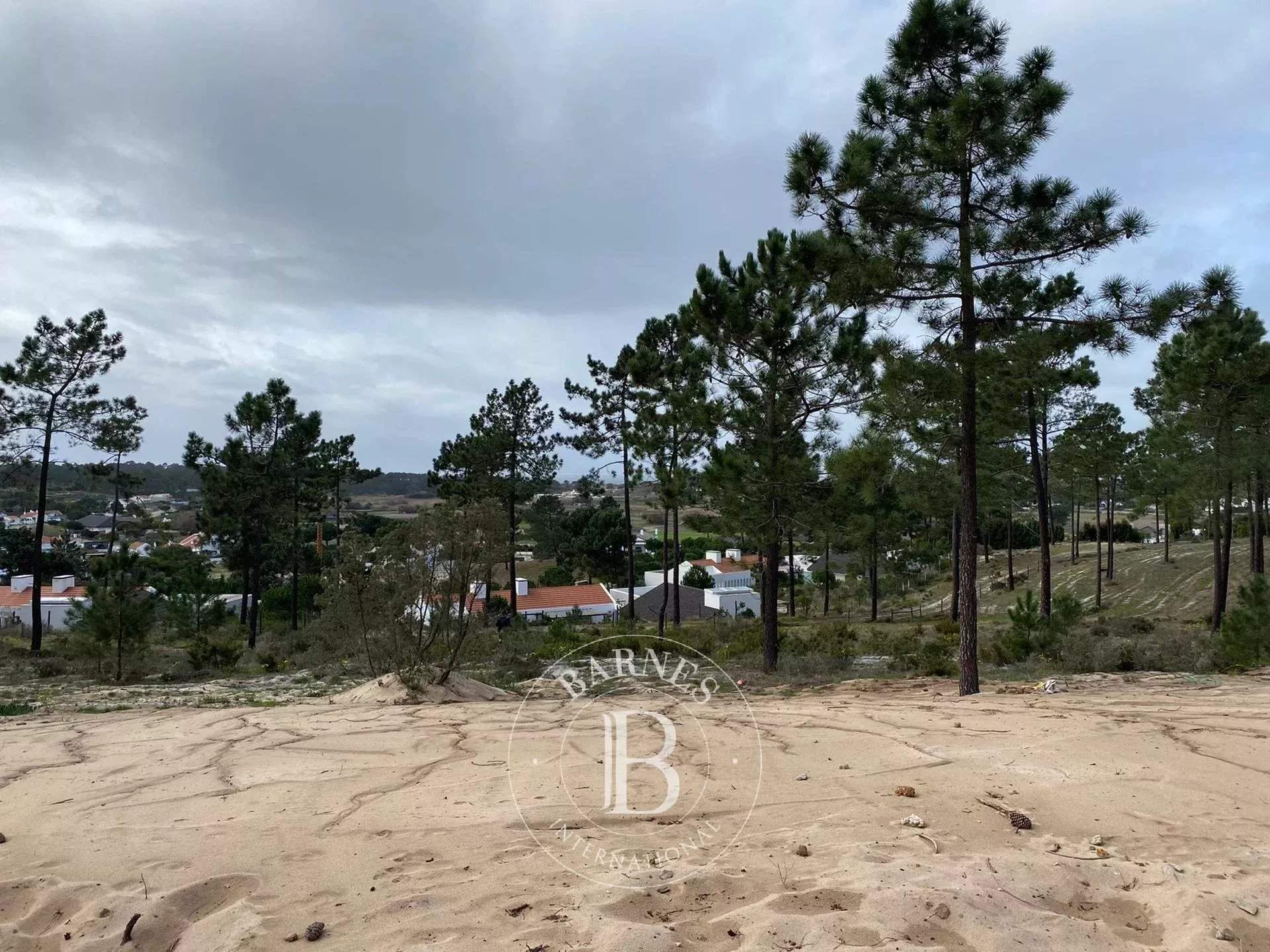 Carvalhal  - Terrain  - picture 4