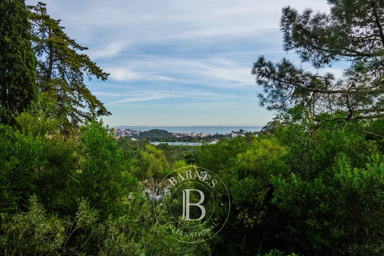 Cascais e Estoril  - House 8 Bedrooms - picture 8