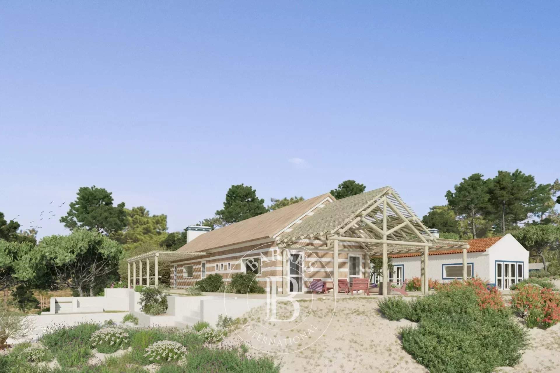 Carvalhal  - Terrain  - picture 11