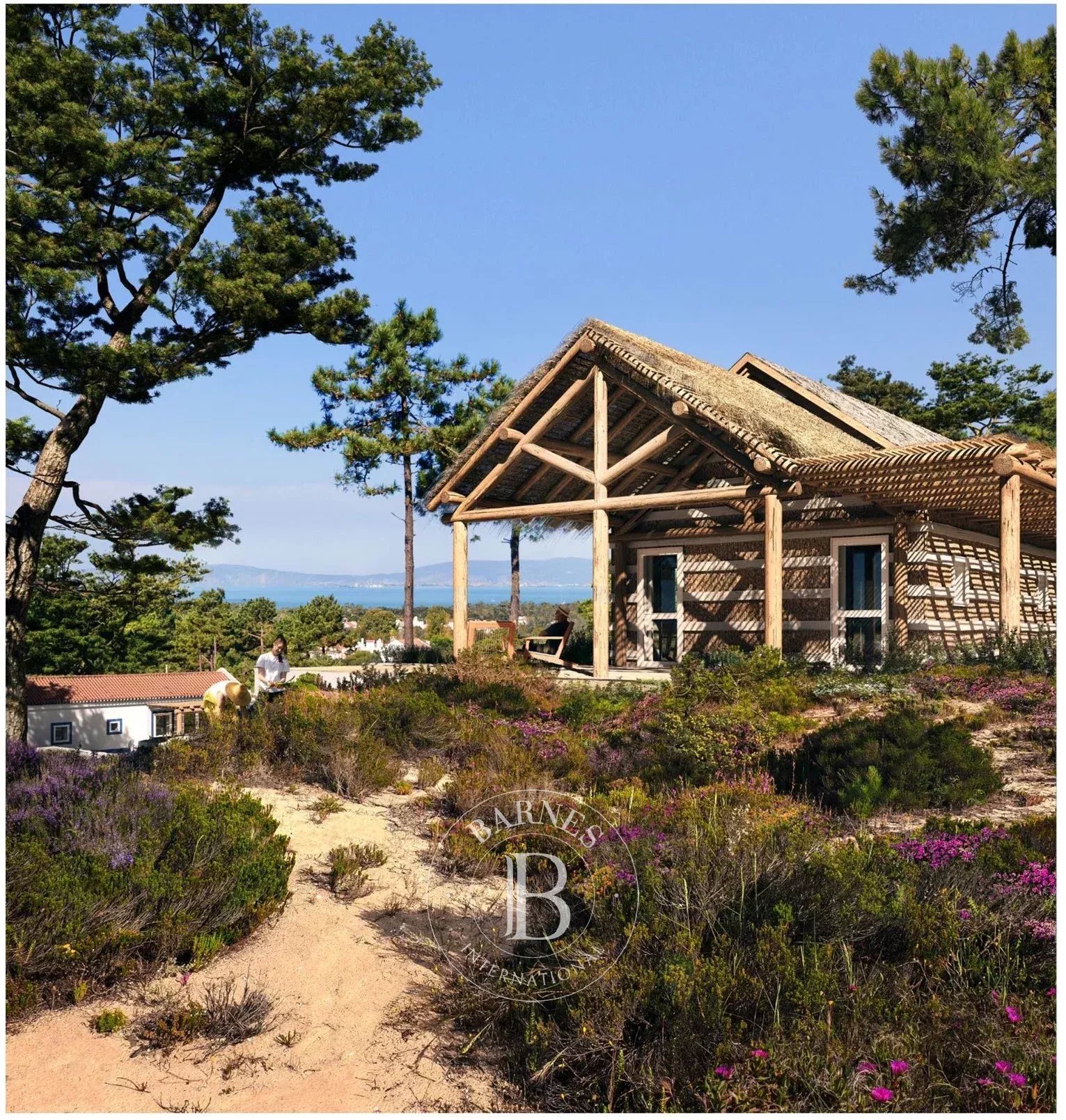 Carvalhal  - Terrain  - picture 7