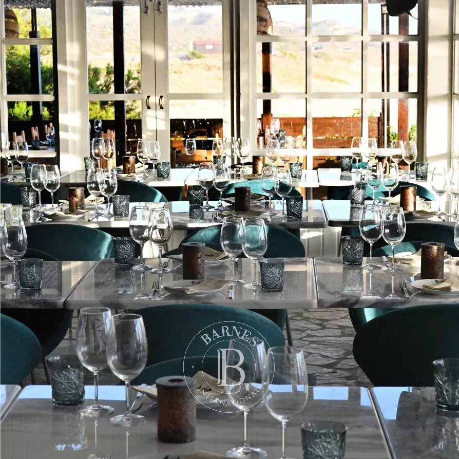 Sines  - Negocio  - picture 7