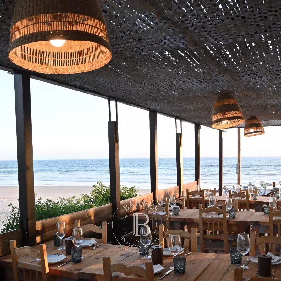 Sines  - Negocio  - picture 5