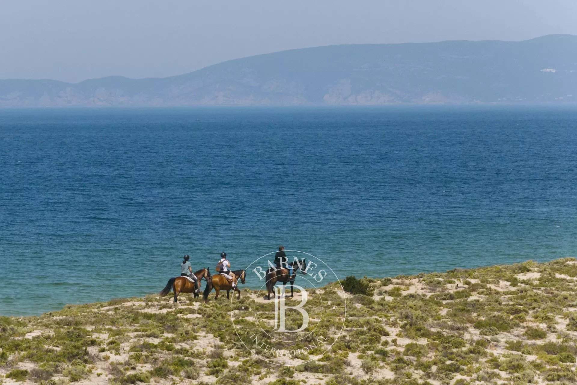 Carvalhal  - Maison  - picture 14