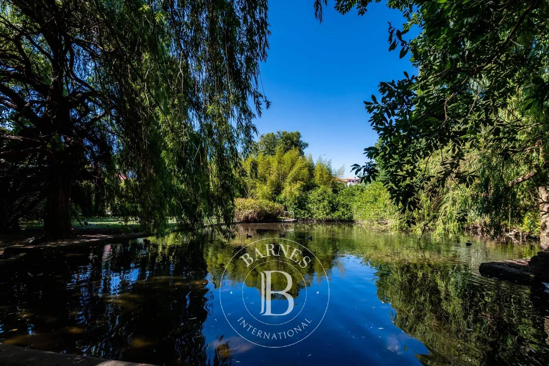   - Farm  - picture 11