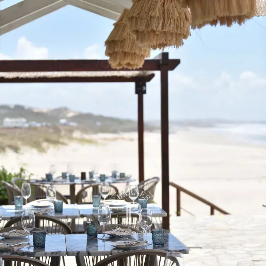 Sines  - Negocio  - picture 4