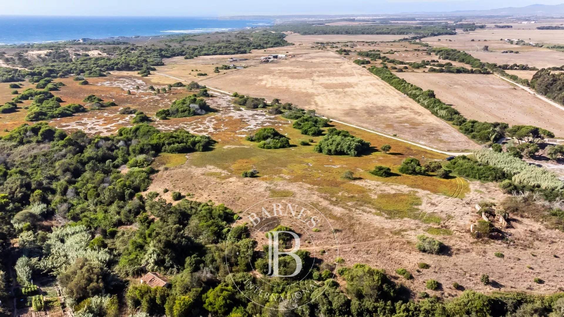 Longueira/Almograve  - Terreno  - picture 5