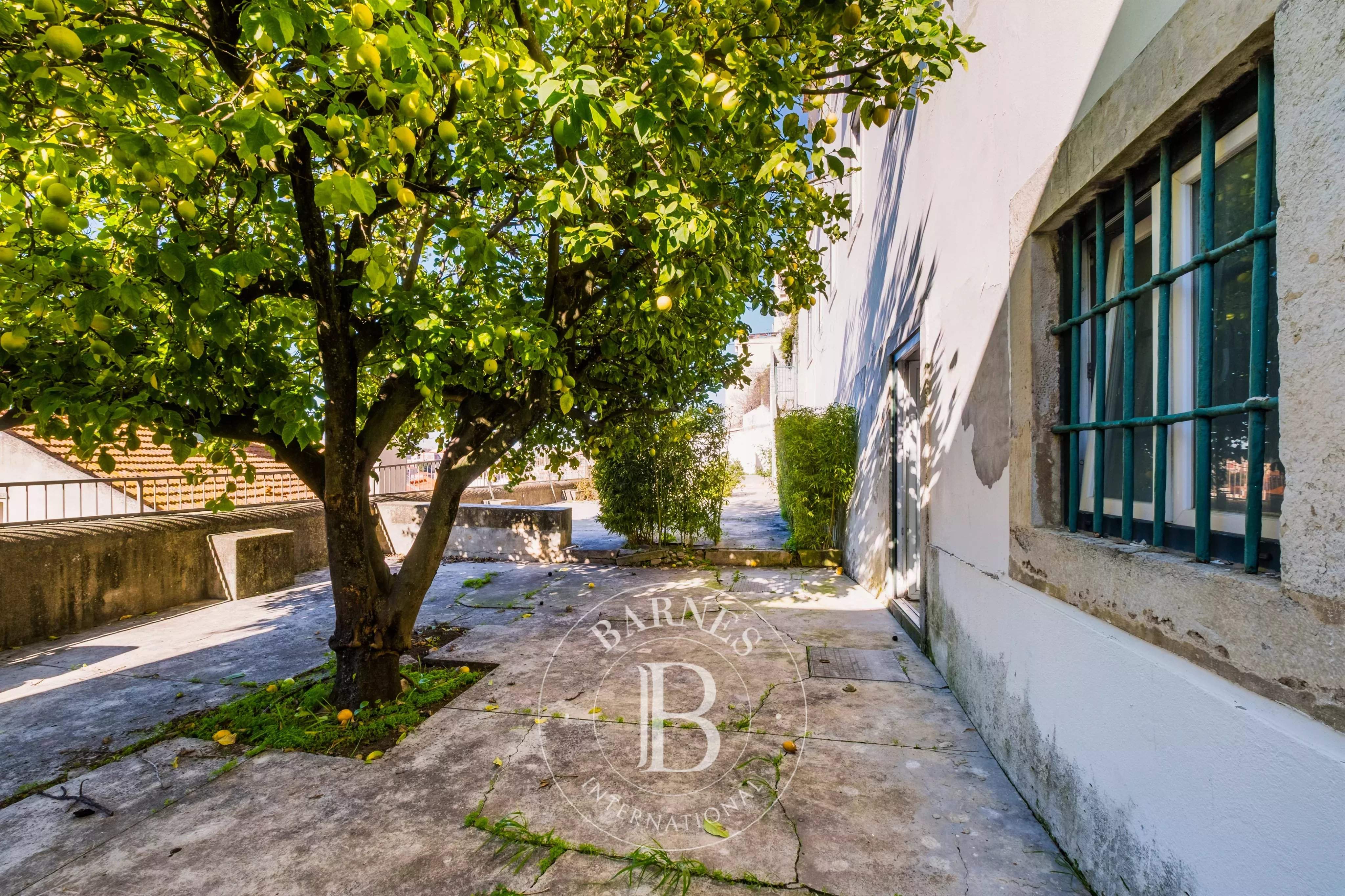 São Vicente  - Appartement  - picture 18
