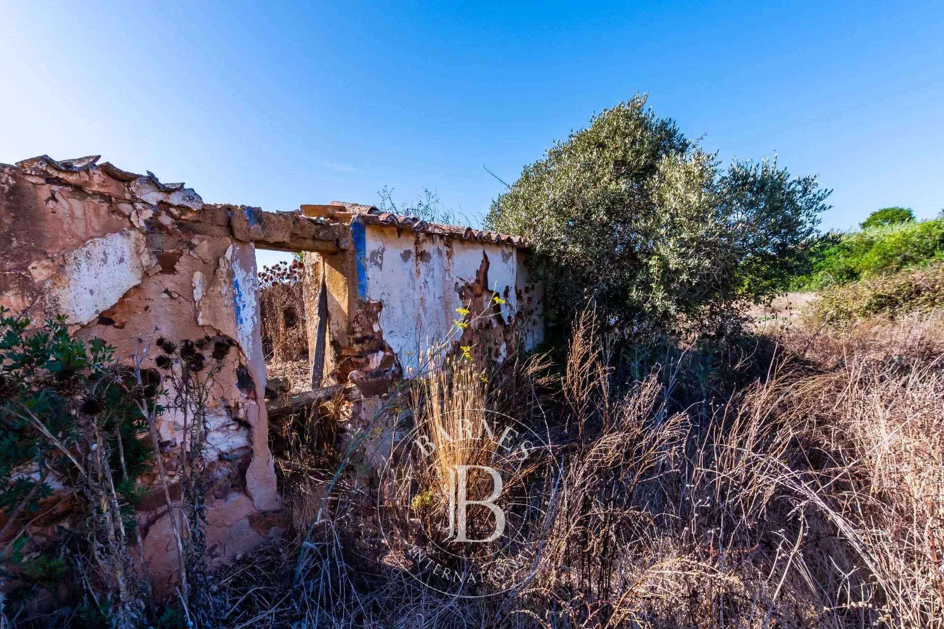 Longueira/Almograve  - Terreno  - picture 19