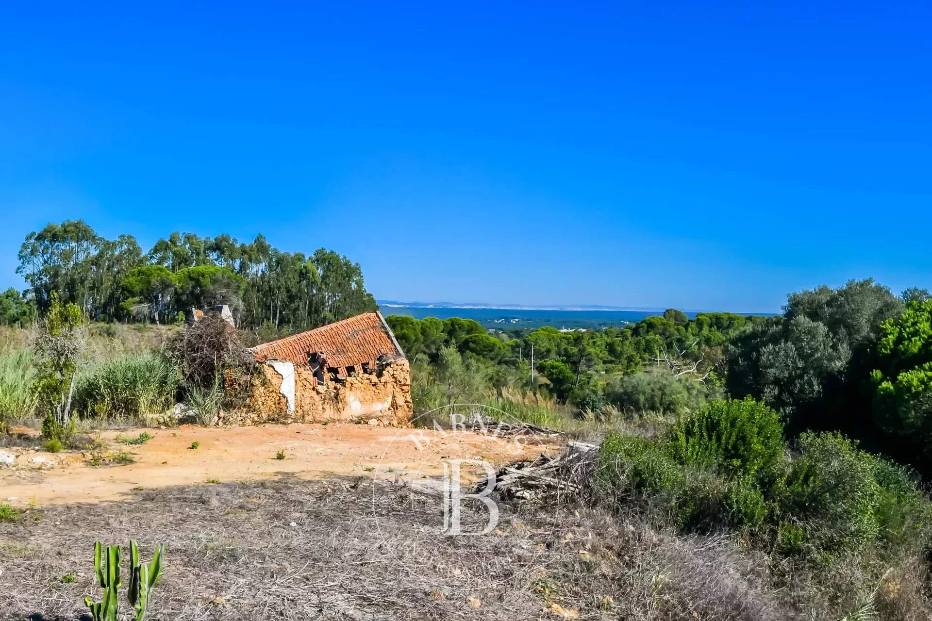 Sesimbra  - Terrain  - picture 16