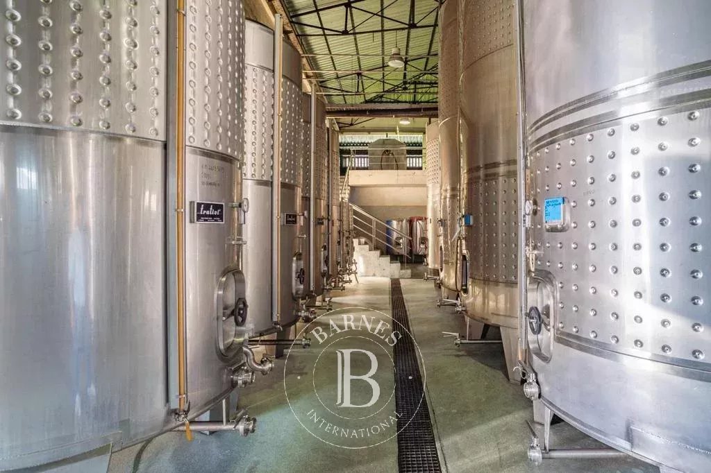 Manhente  - Farm 8 Bedrooms - picture 15