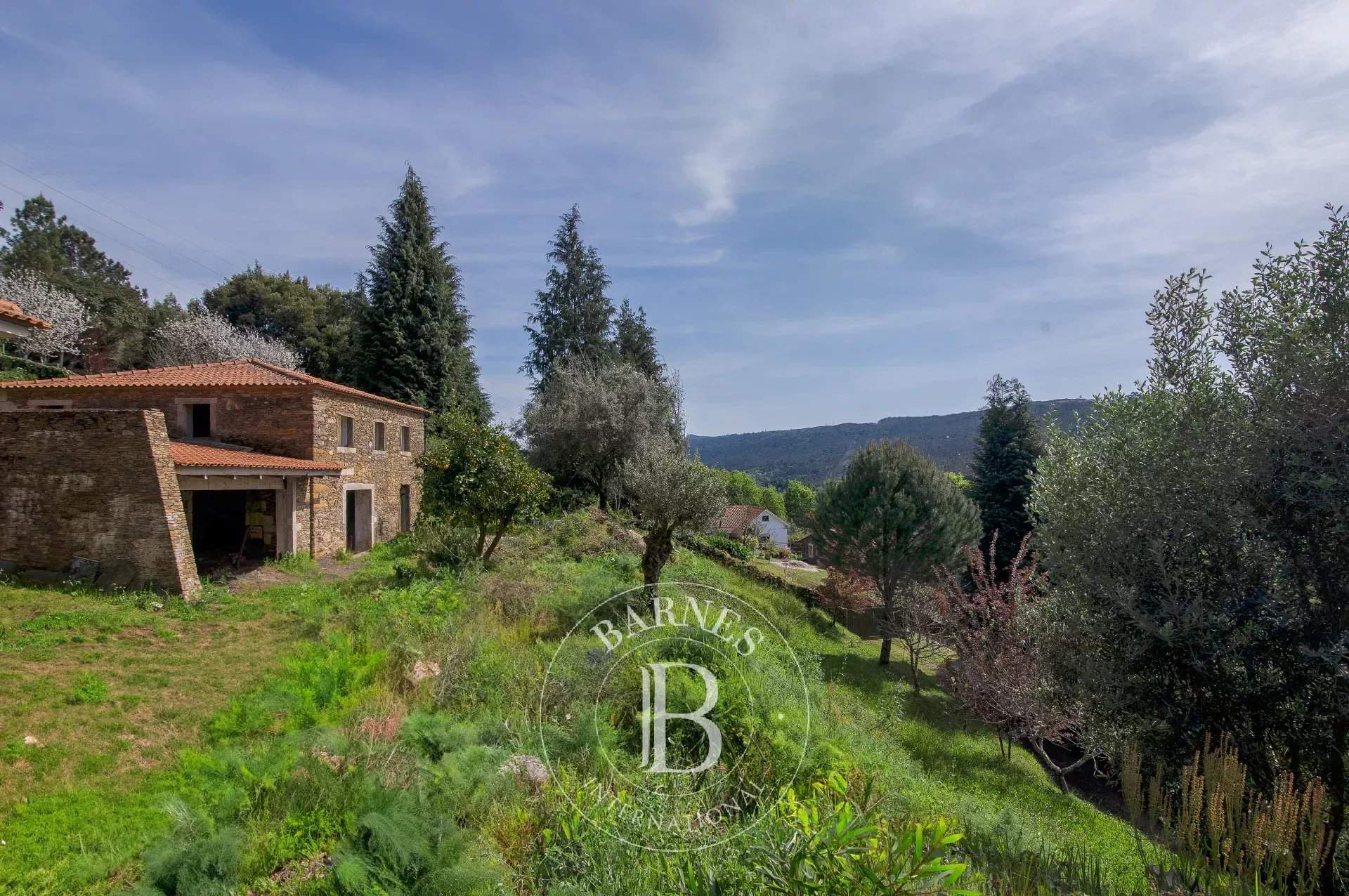 Gondar e Orbacém  - Village house 3 Bedrooms - picture 11