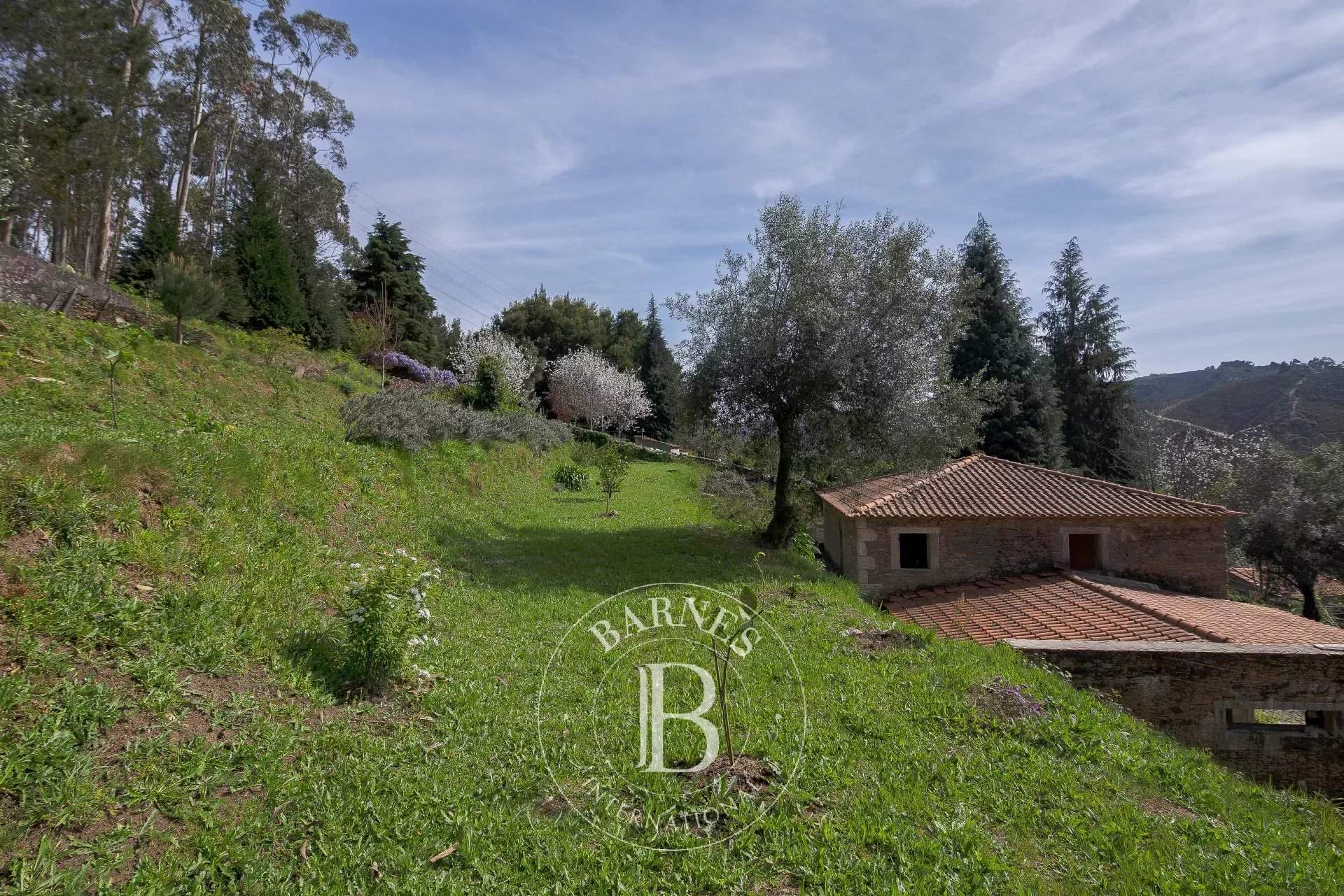 Gondar e Orbacém  - Village house 3 Bedrooms - picture 13