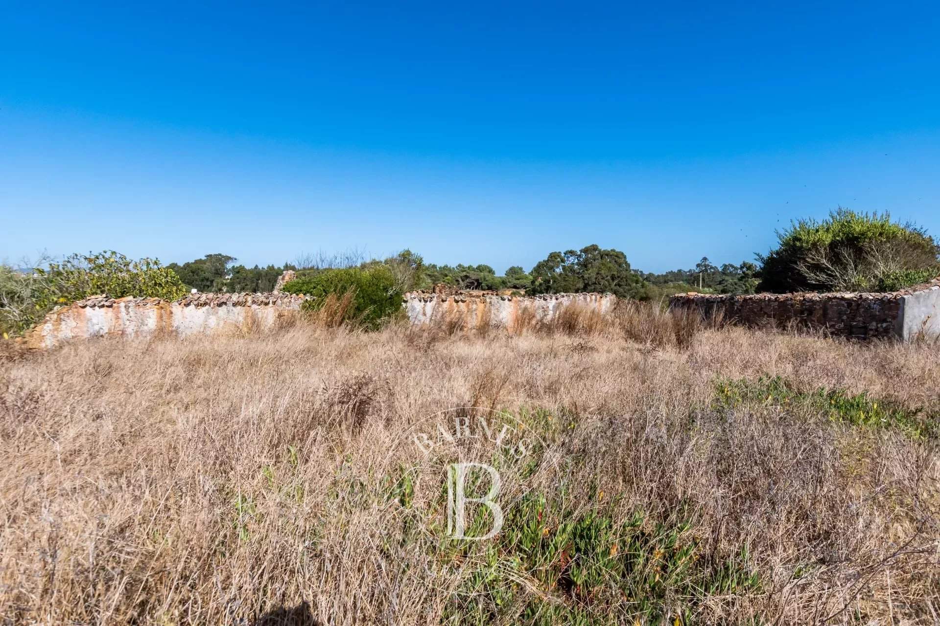 Longueira/Almograve  - Terreno  - picture 18