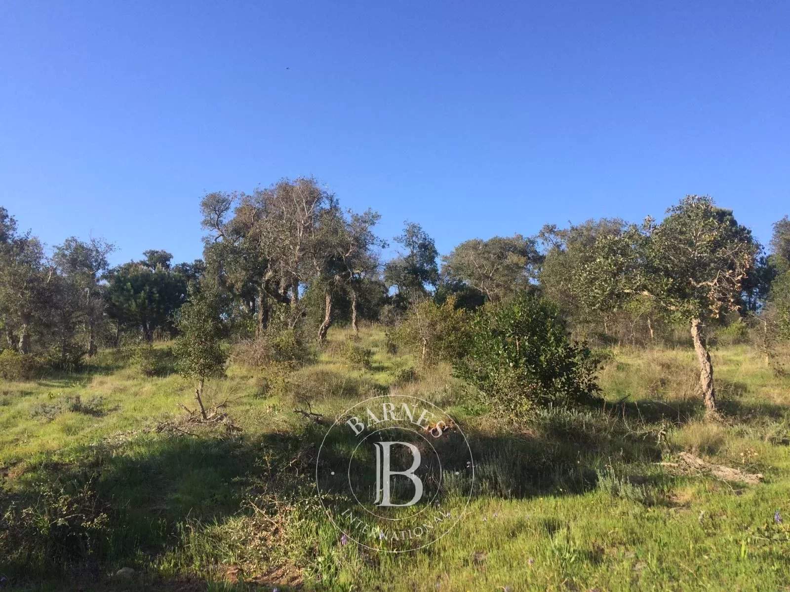 Grândola e Santa Margarida da Serra  - Terrain  - picture 2