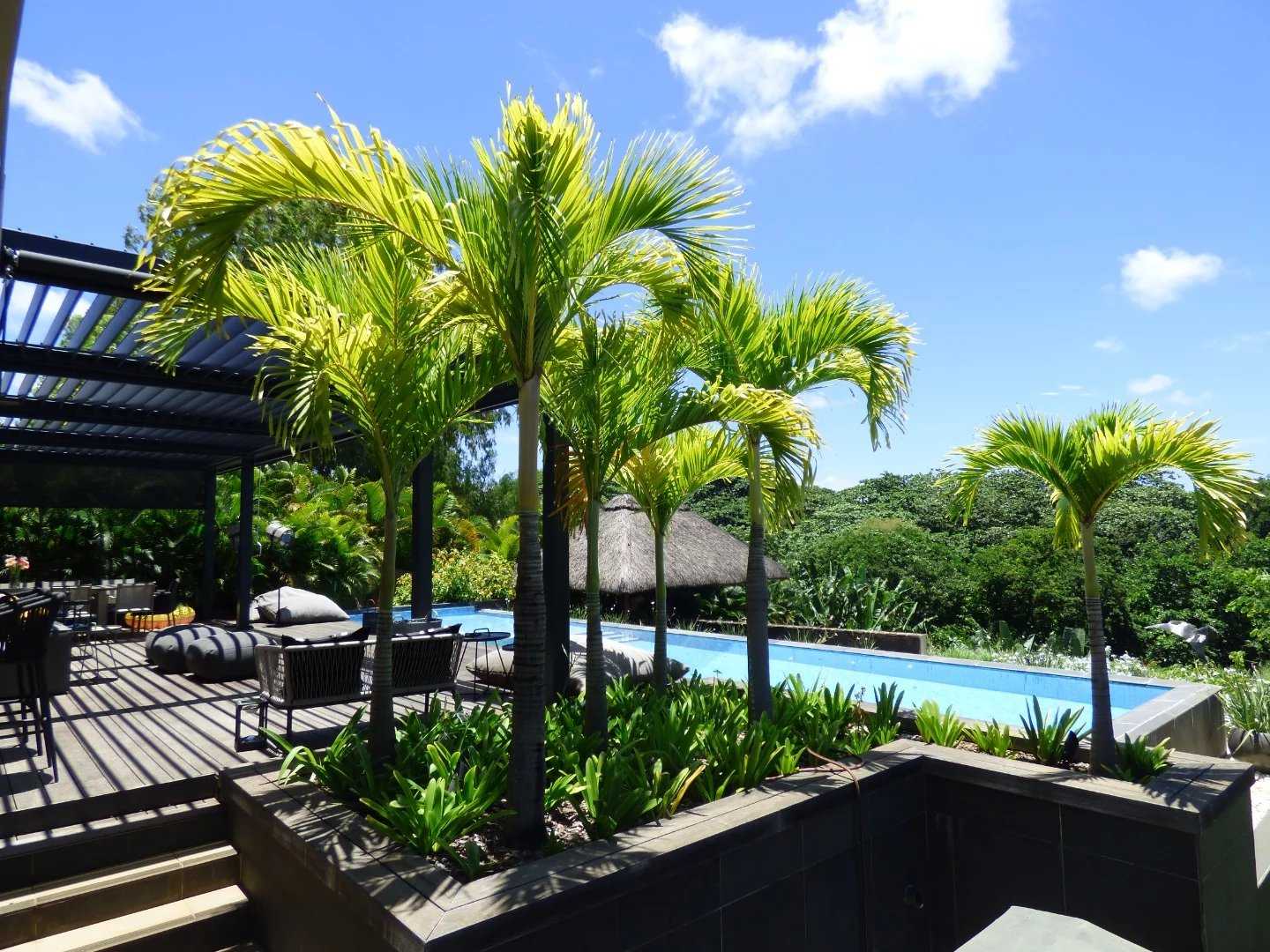 Haute Rive  - Villa 7 Pi&egrave;ces 6 Chambres