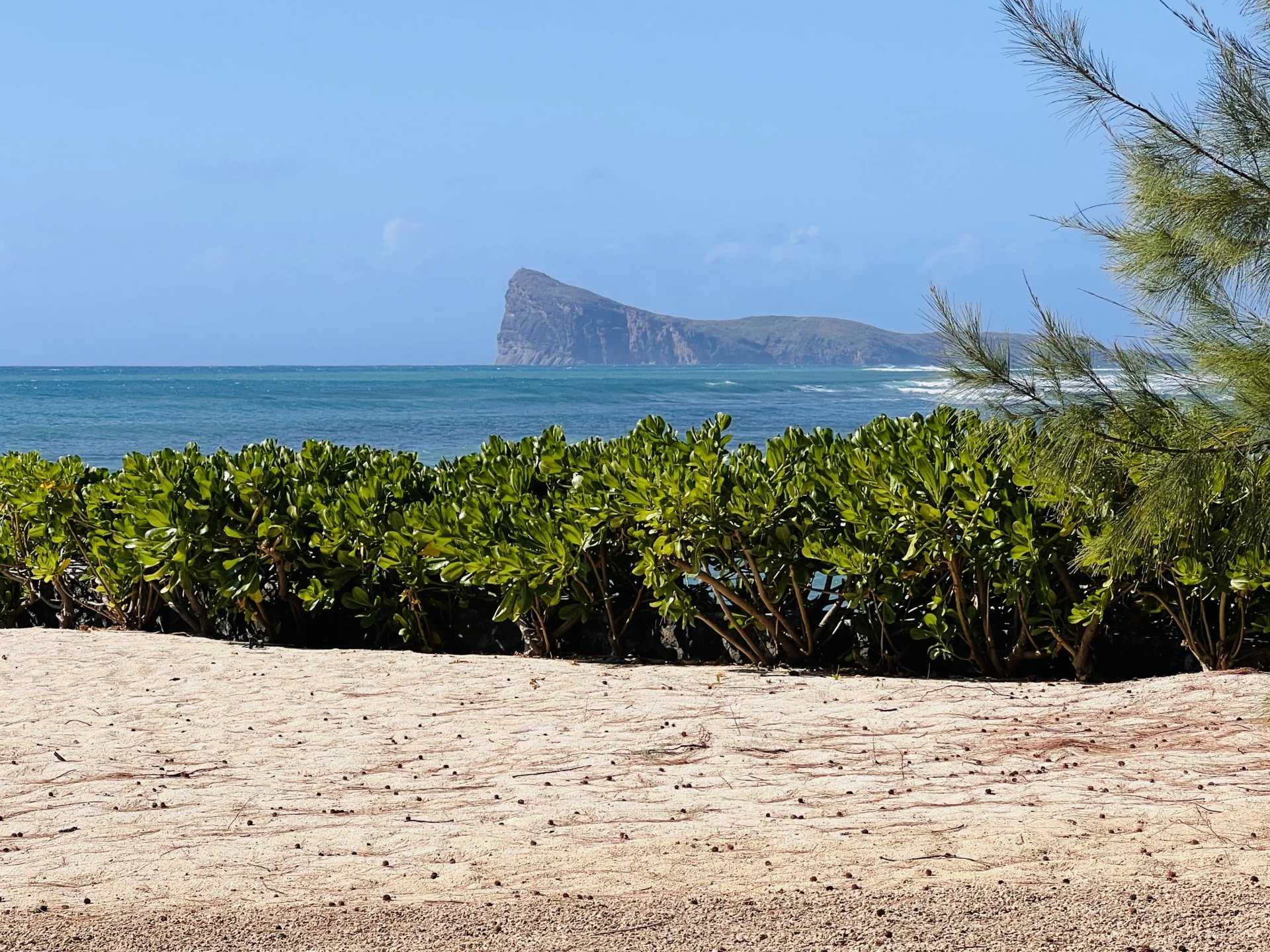 Pereybère  - Apartment 3 Bedrooms