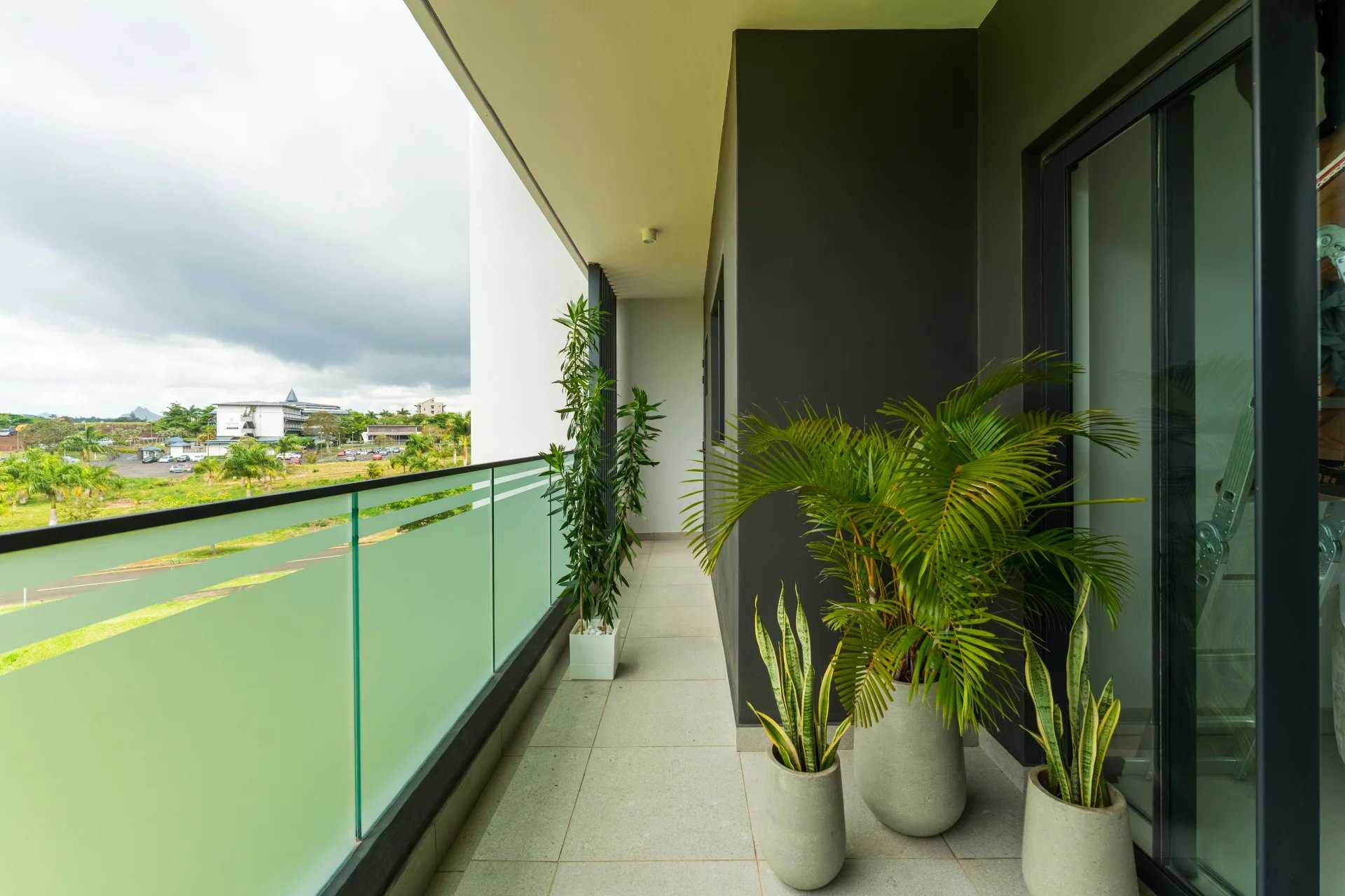 Moka  - Apartment 3 Bedrooms