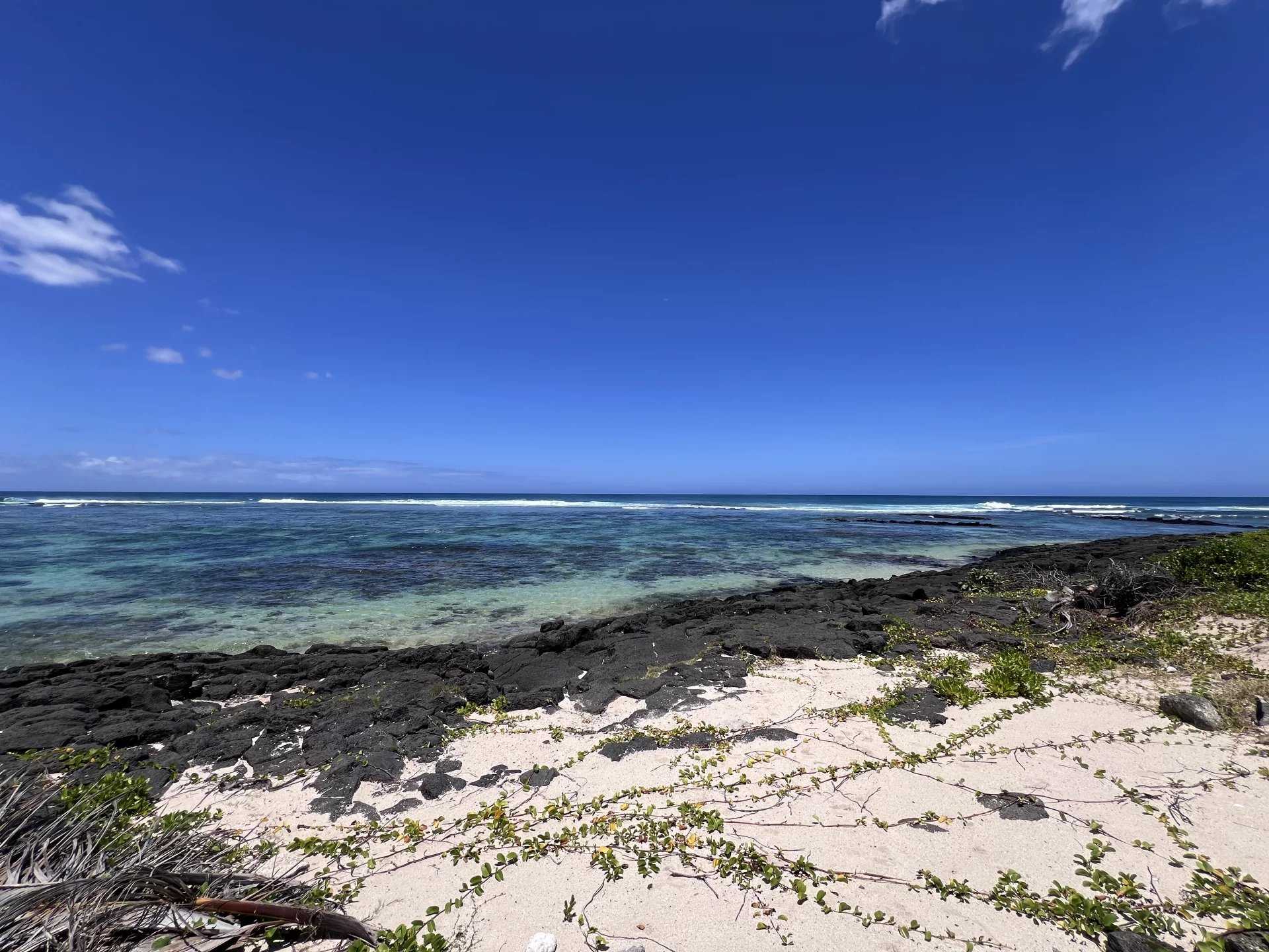 Poste Lafayette  - Property 4 Bedrooms