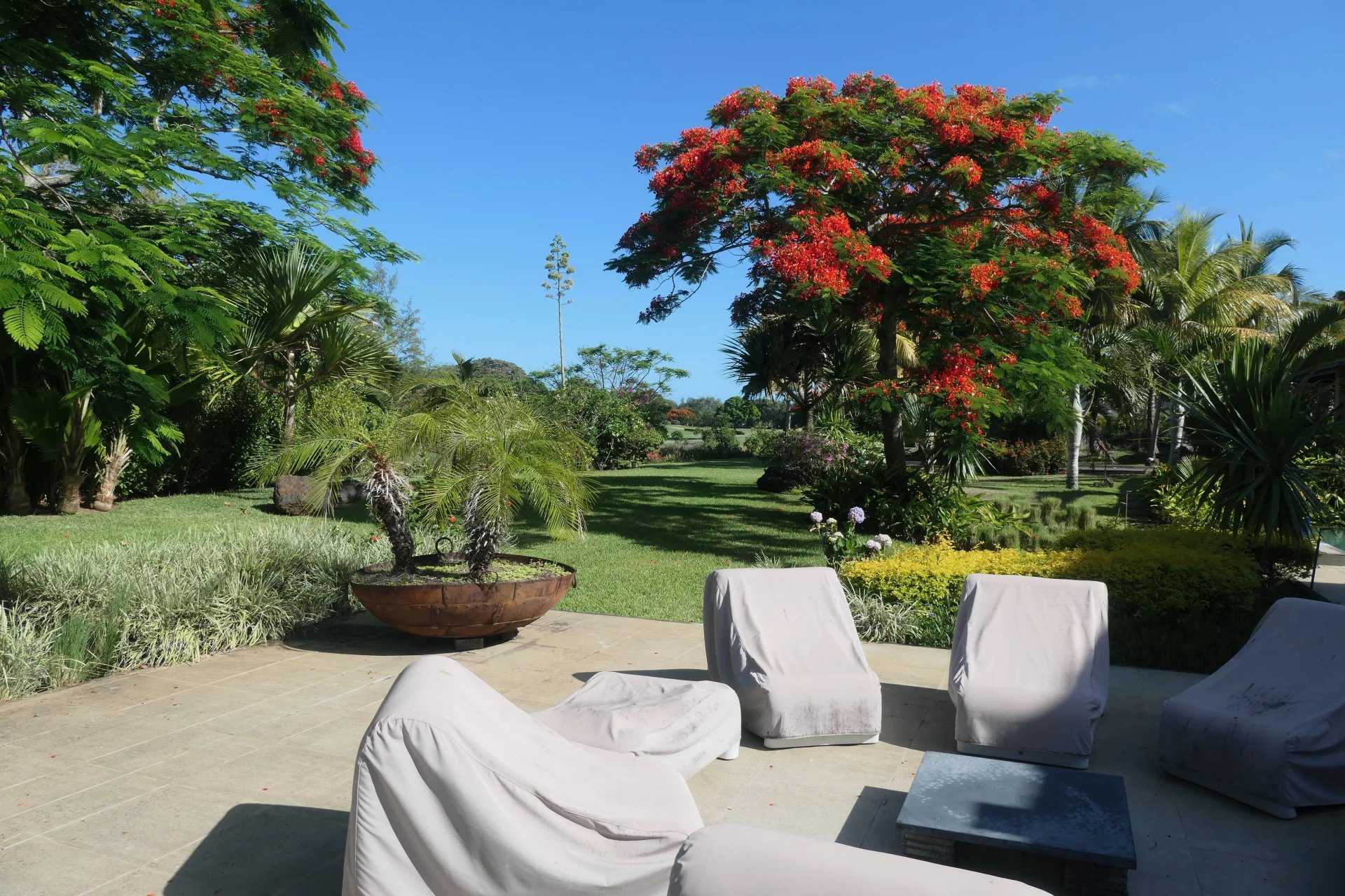 Beau Champ  - Villa 4 Bedrooms