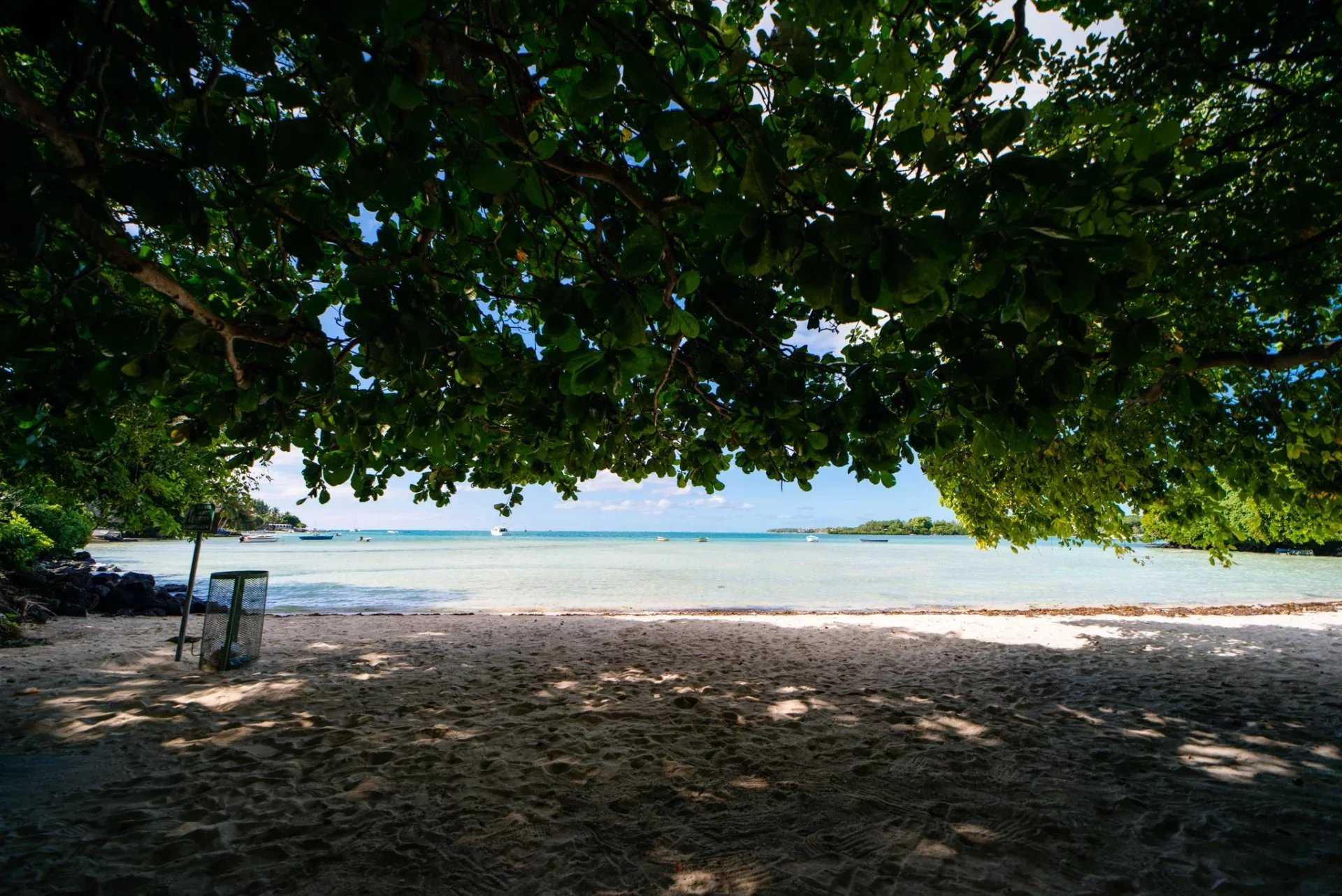 Trou d'Eau Douce  - Apartment 2 Bedrooms