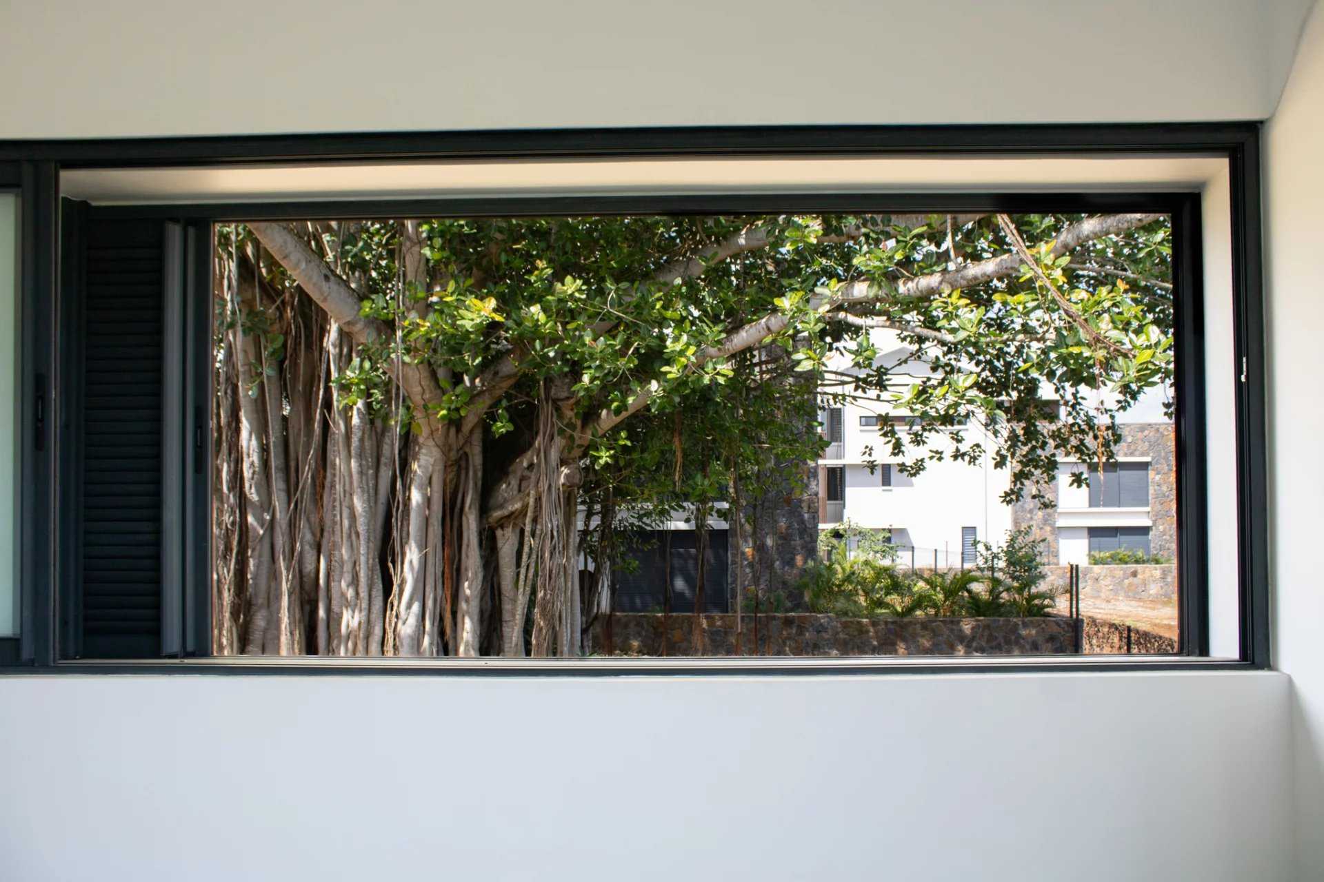 Belle Vue Harel  - Apartment 3 Bedrooms