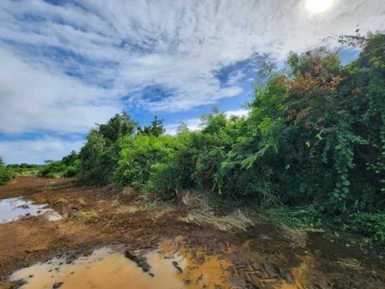 Goodlands  - Plot of land 