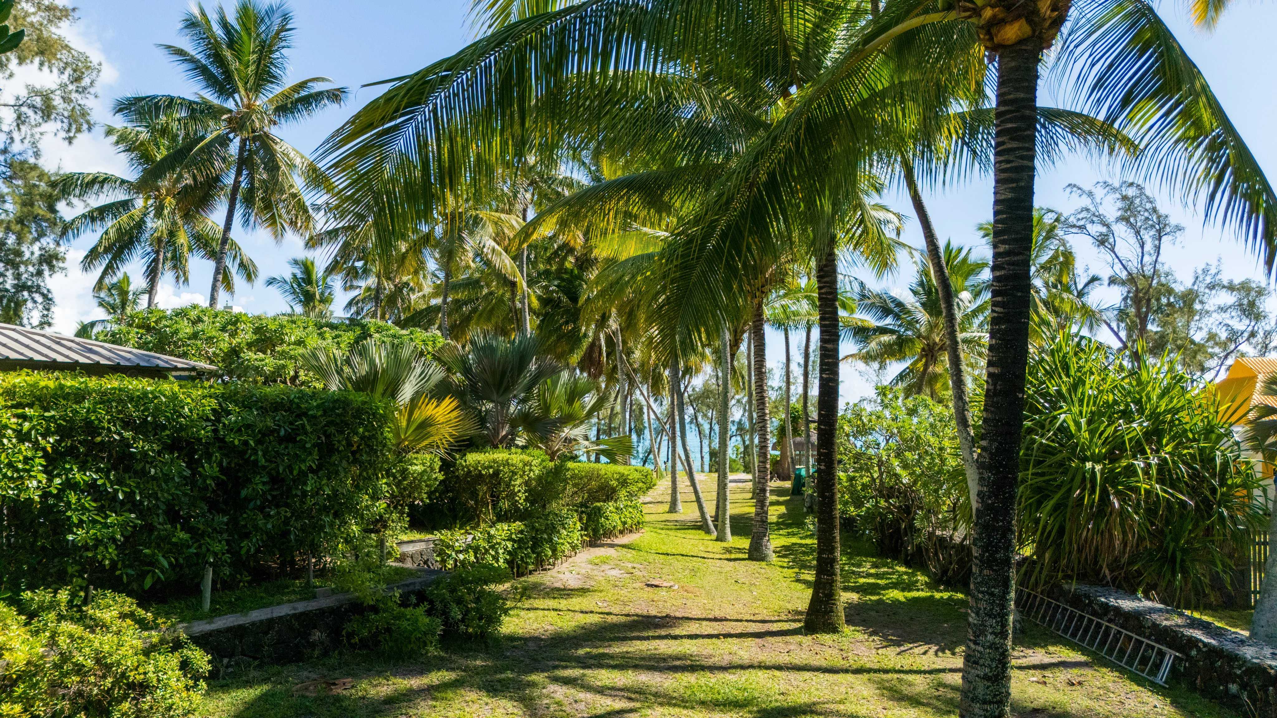Belle Mare  - Propriété 6 Pi&egrave;ces 5 Chambres