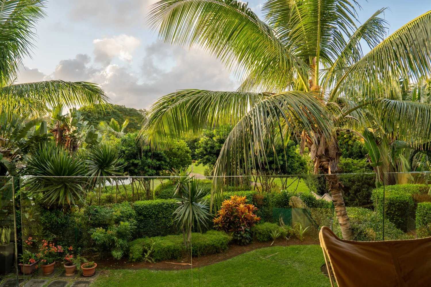 Apartment Haute Rive  -  ref 83647815 (picture 2)