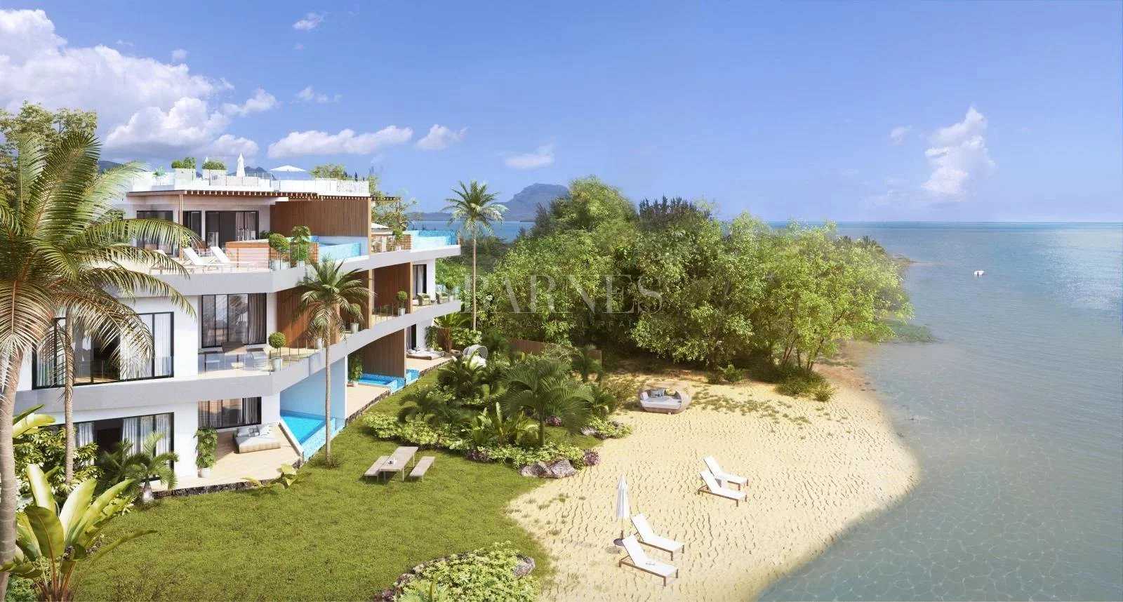 Penthouse Ilot Fortier  -  ref 5282669 (picture 3)