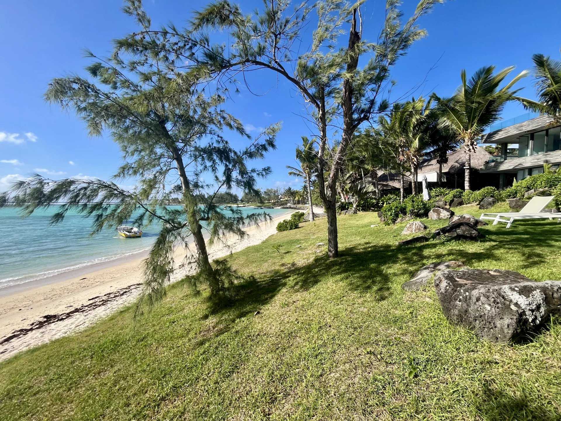 Penthouse Quatre Cocos  -  ref 86093489 (picture 3)