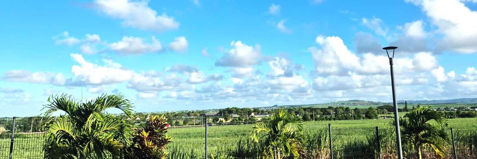 Maison Mapou  -  ref 86795832 (picture 1)