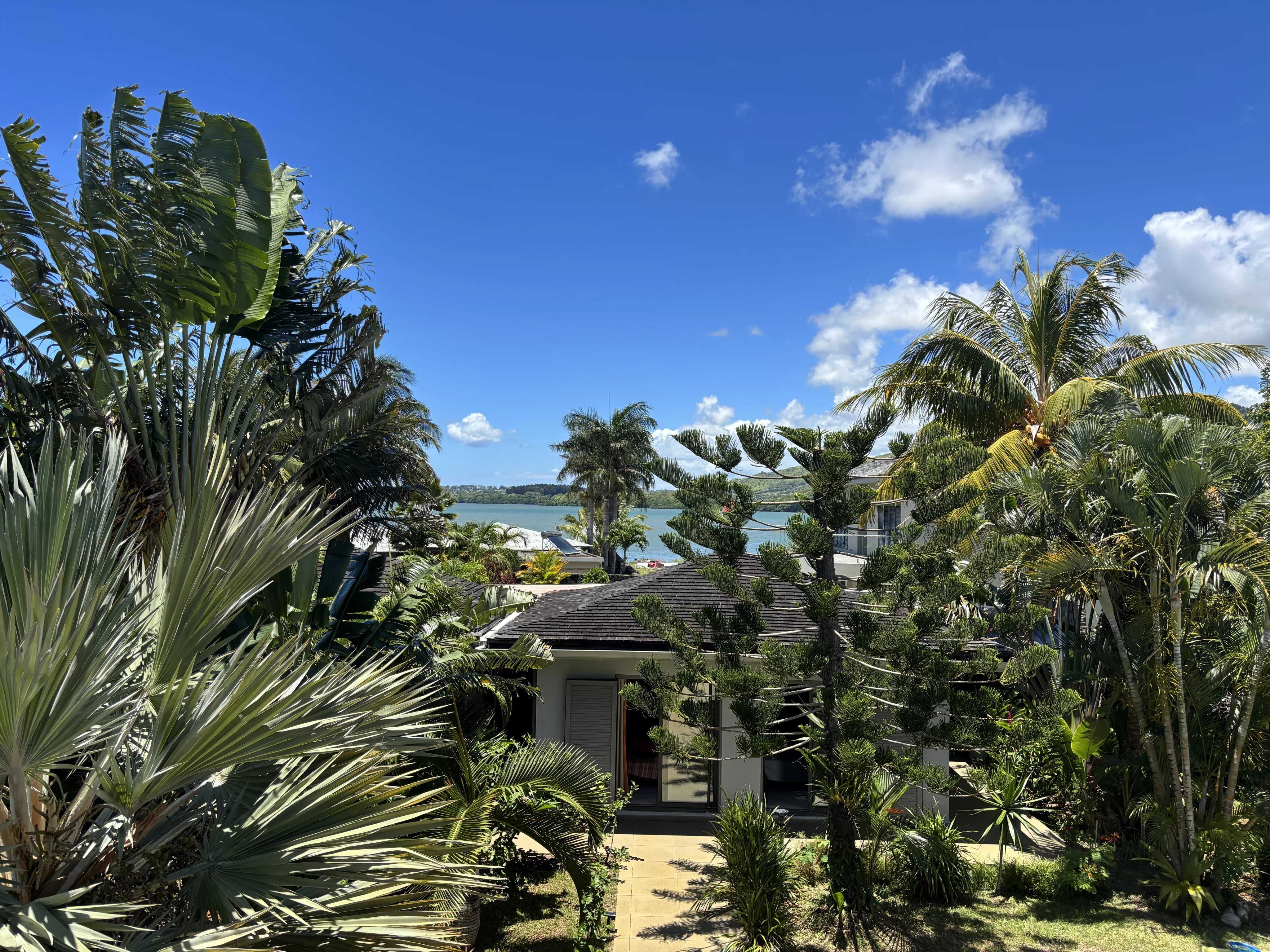 Maison Vieux Grand Port  -  ref 86808879 (picture 3)