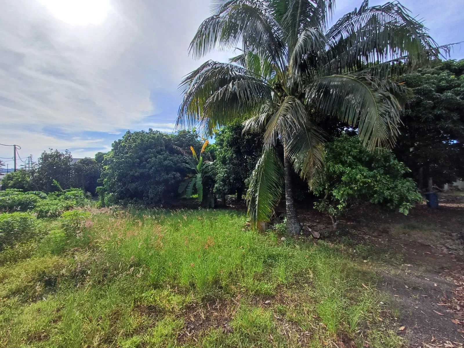 Plot of land Grand Baie  -  ref 84546016 (picture 3)