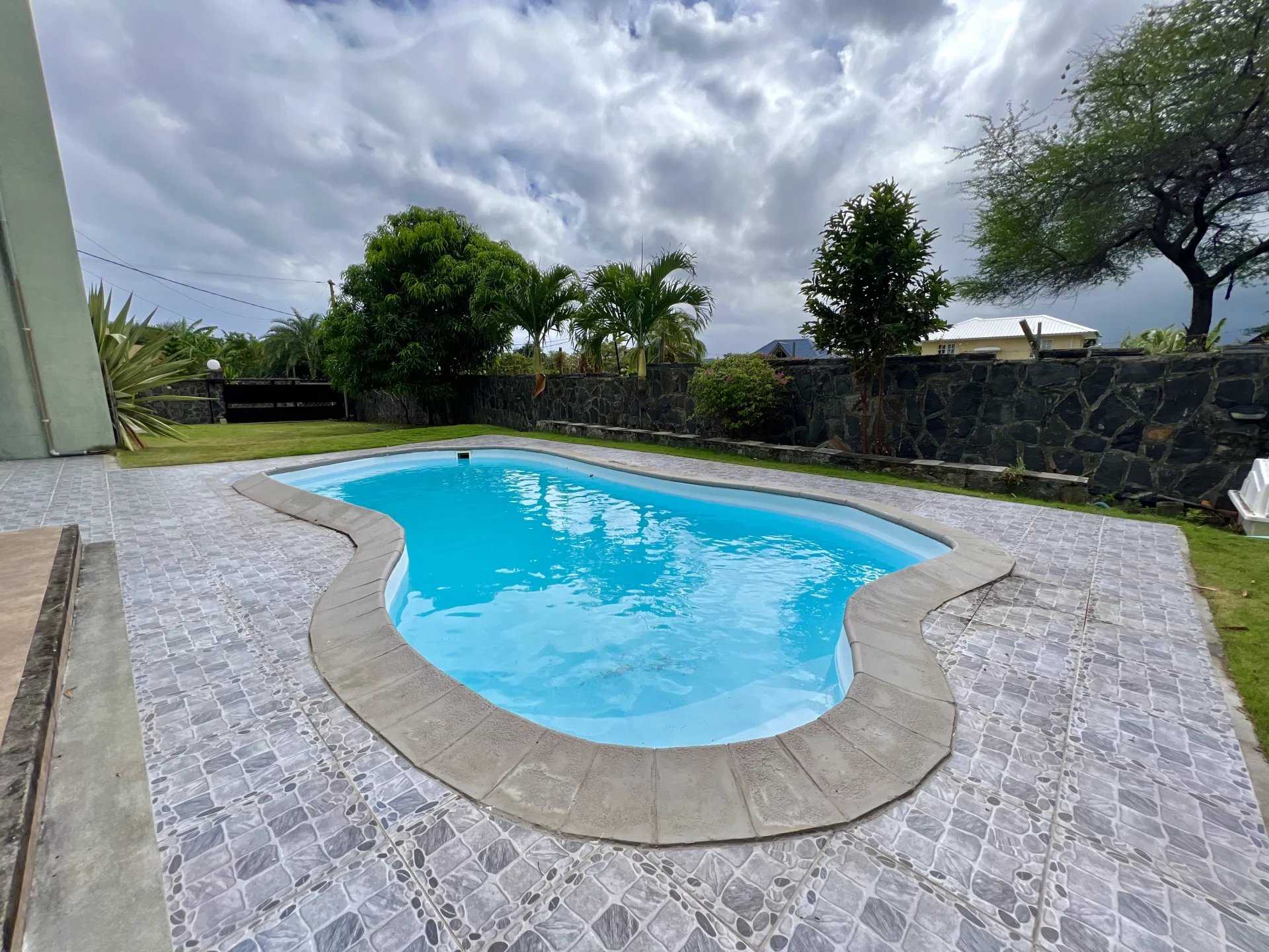 Duplex Tamarin  -  ref 84896155 (picture 2)