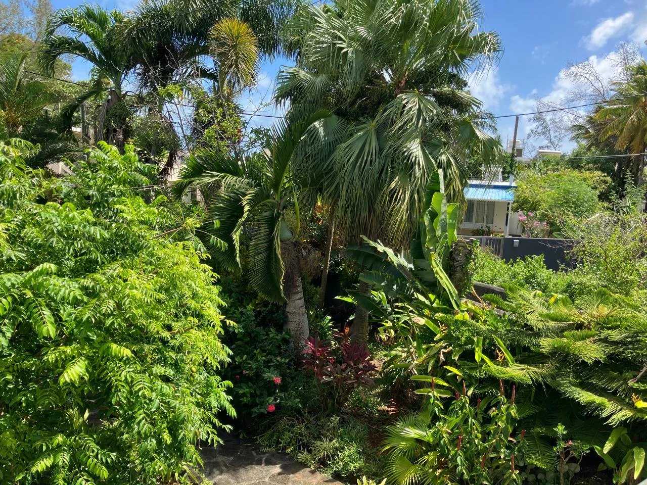 Property Roches Noires  -  ref 86420473 (picture 2)