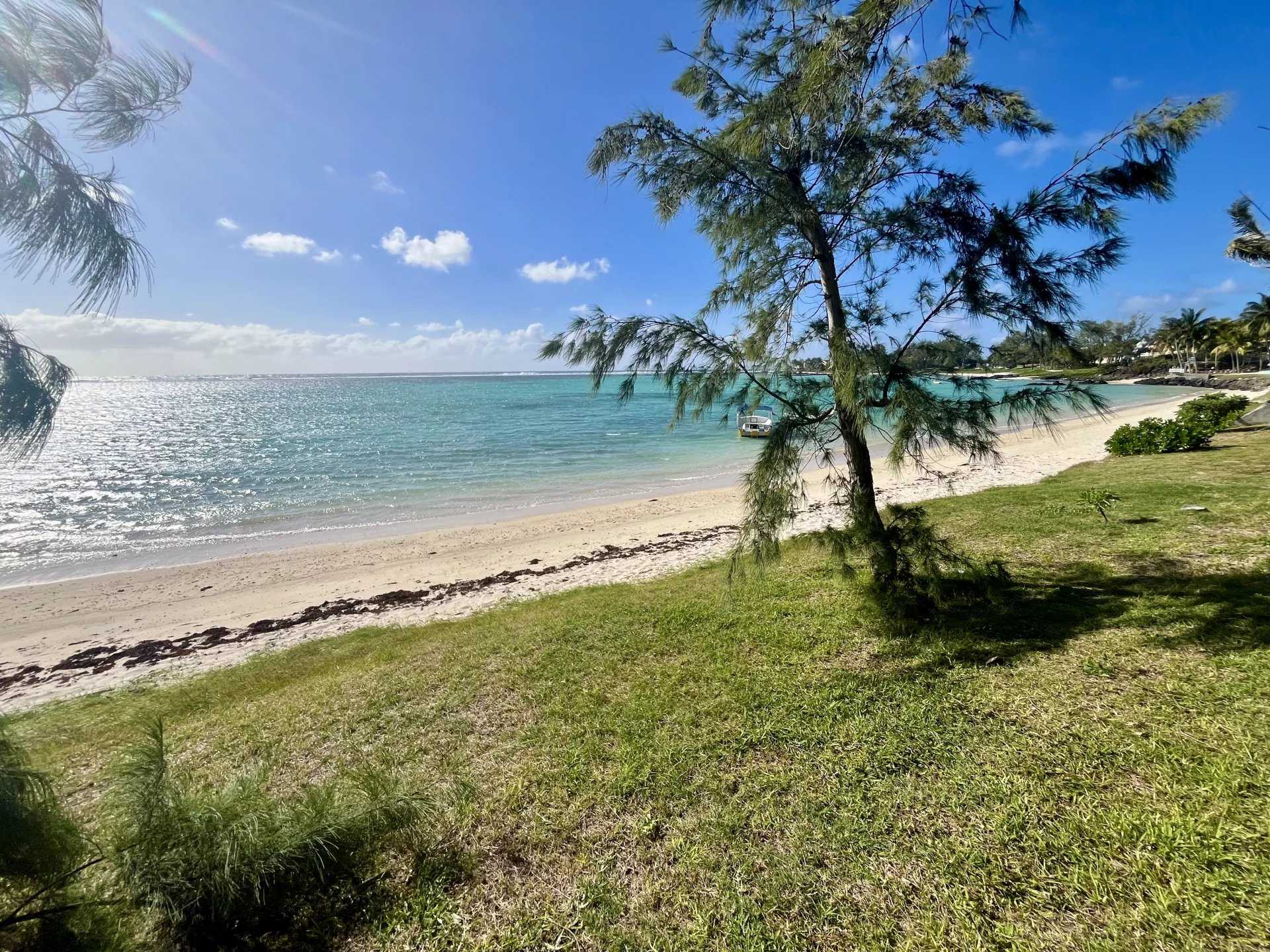 Penthouse Quatre Cocos  -  ref 86093489 (picture 2)