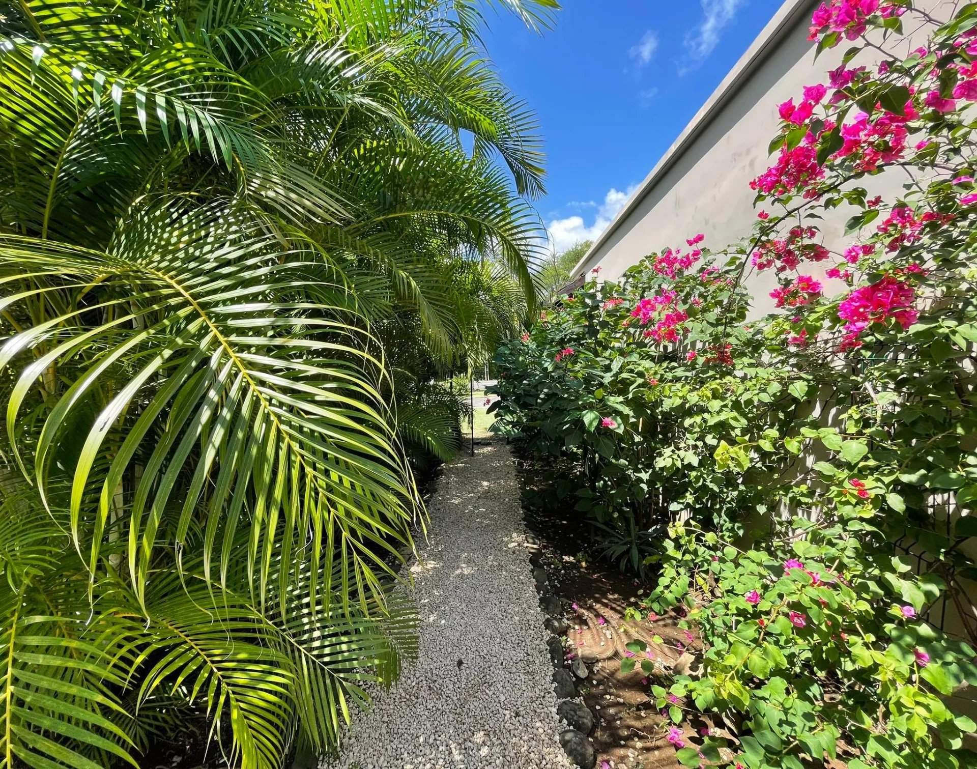 Rivière Noire  - Villa 9 Pi&egrave;ces 4 Chambres - picture 15