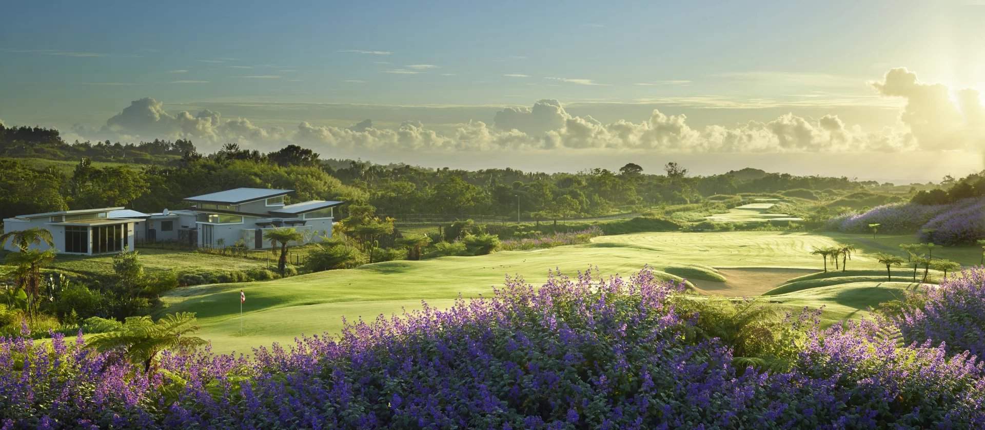 Bois Chéri  - Terrain résidentiel  - picture 2