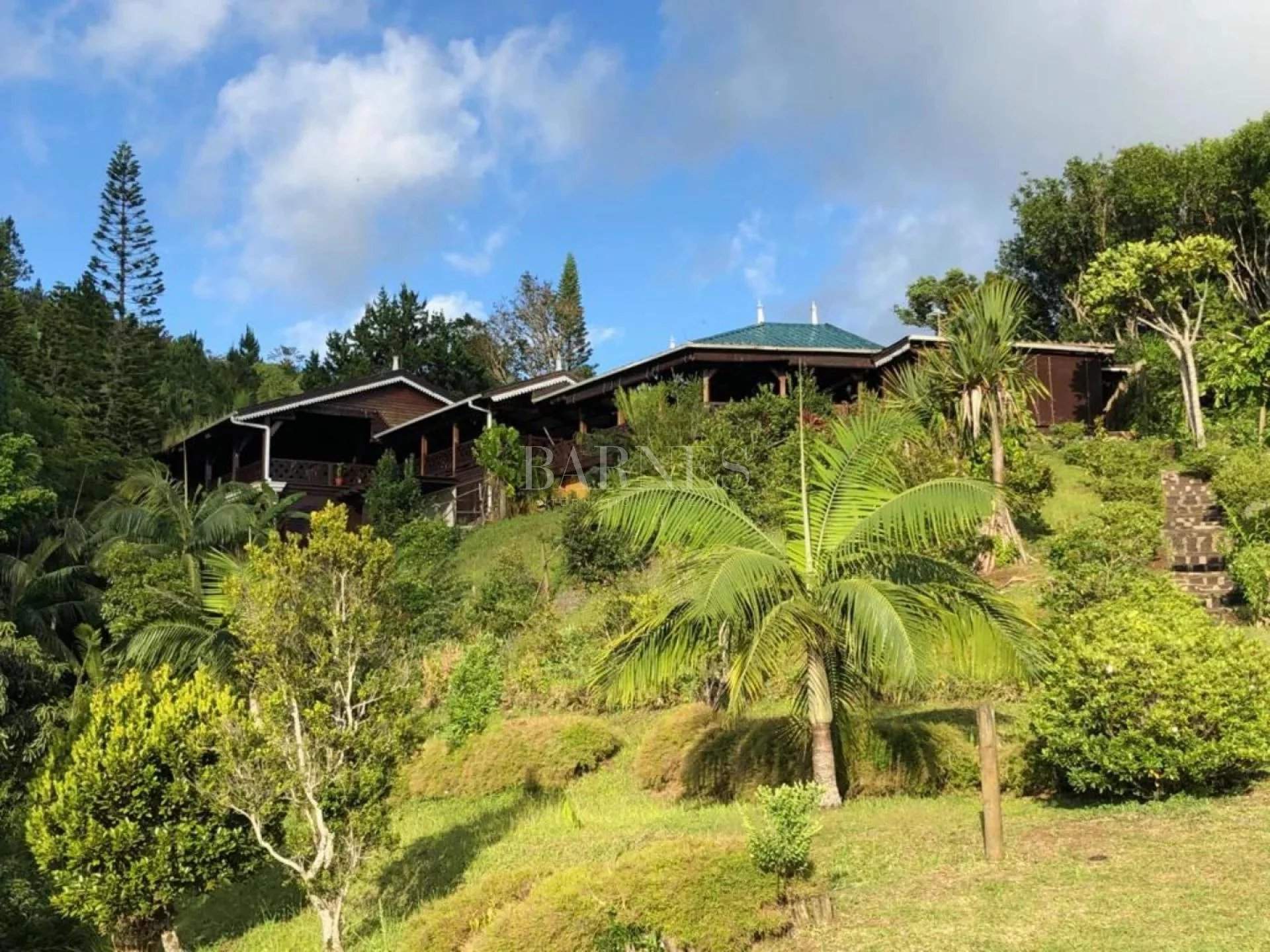 Chamarel  - Villa 3 Bedrooms - picture 12