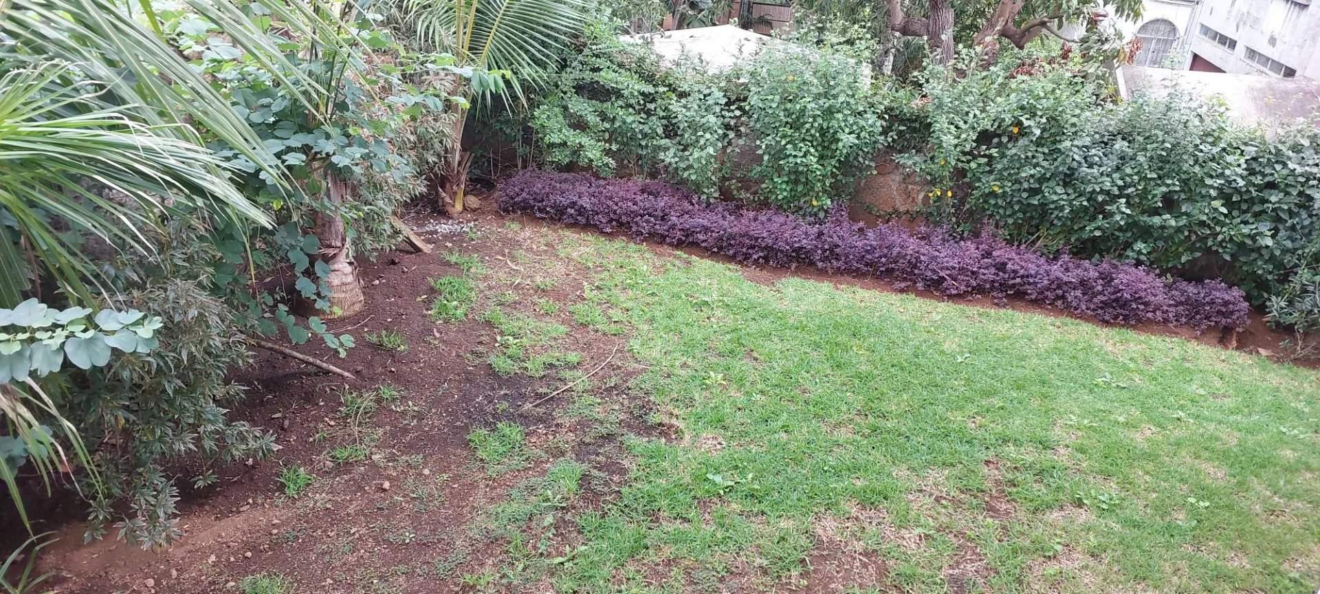 Grand Baie  - Apartment 2 Bedrooms - picture 10