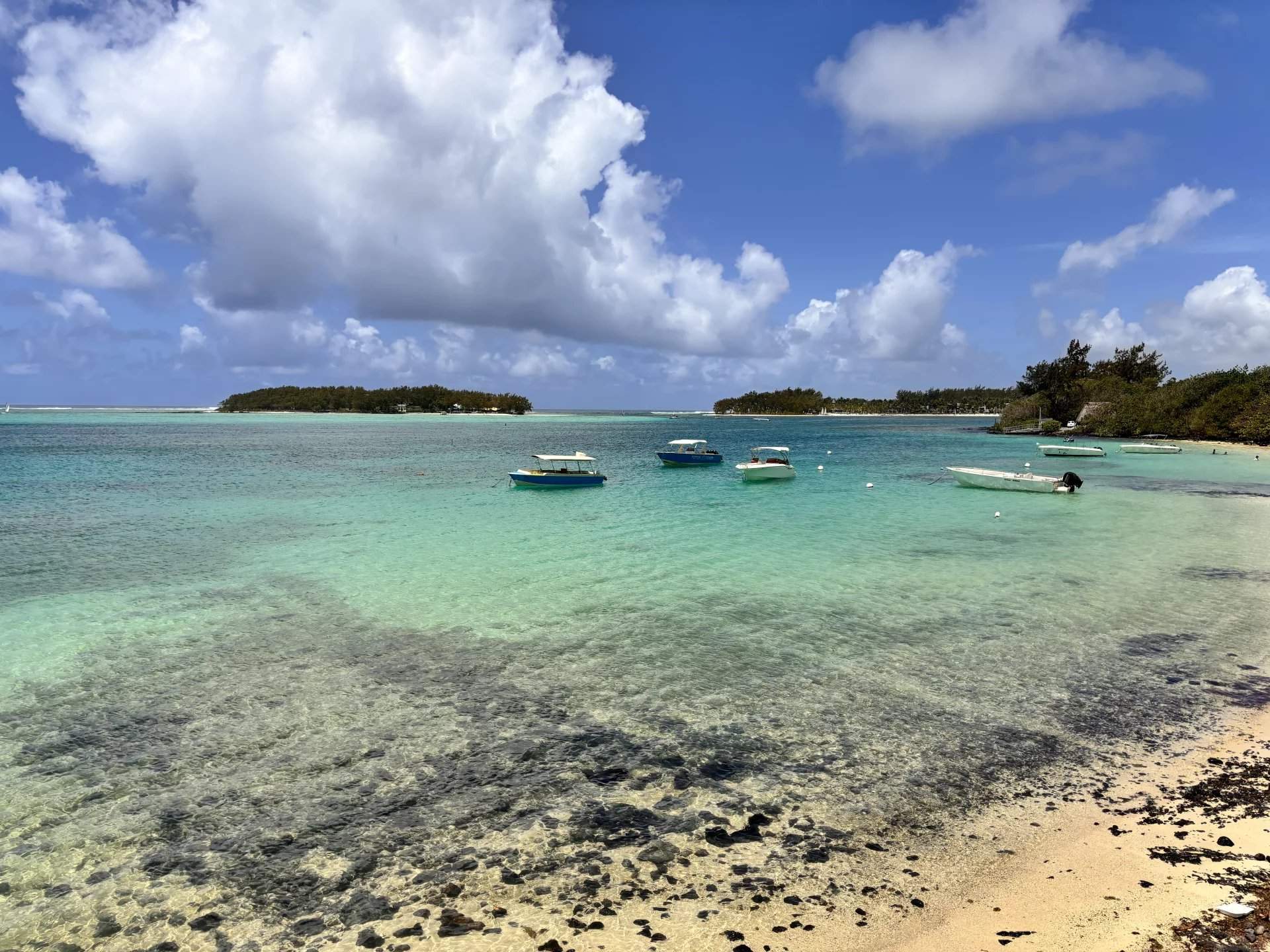 Blue Bay  - Apartment 3 Bedrooms - picture 9