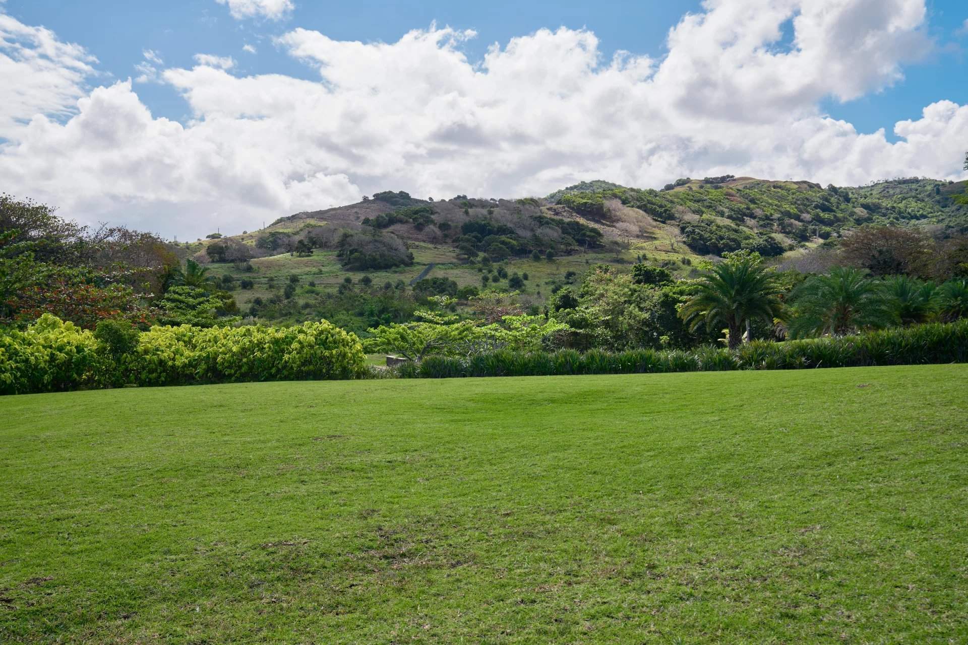 Bel Ombre  - Residential land  - picture 2