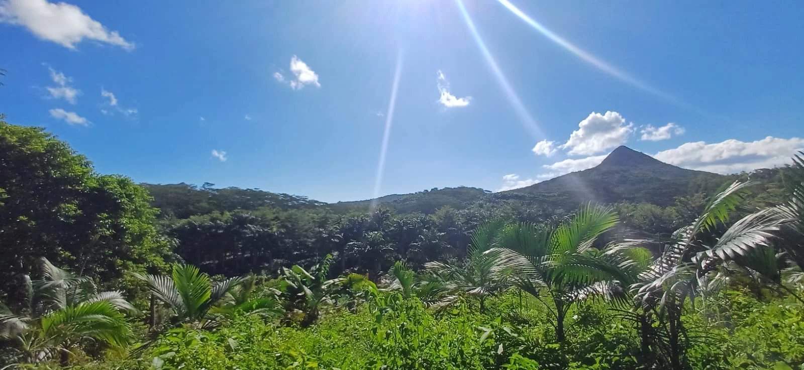 Chamarel  - Terrain  - picture 1