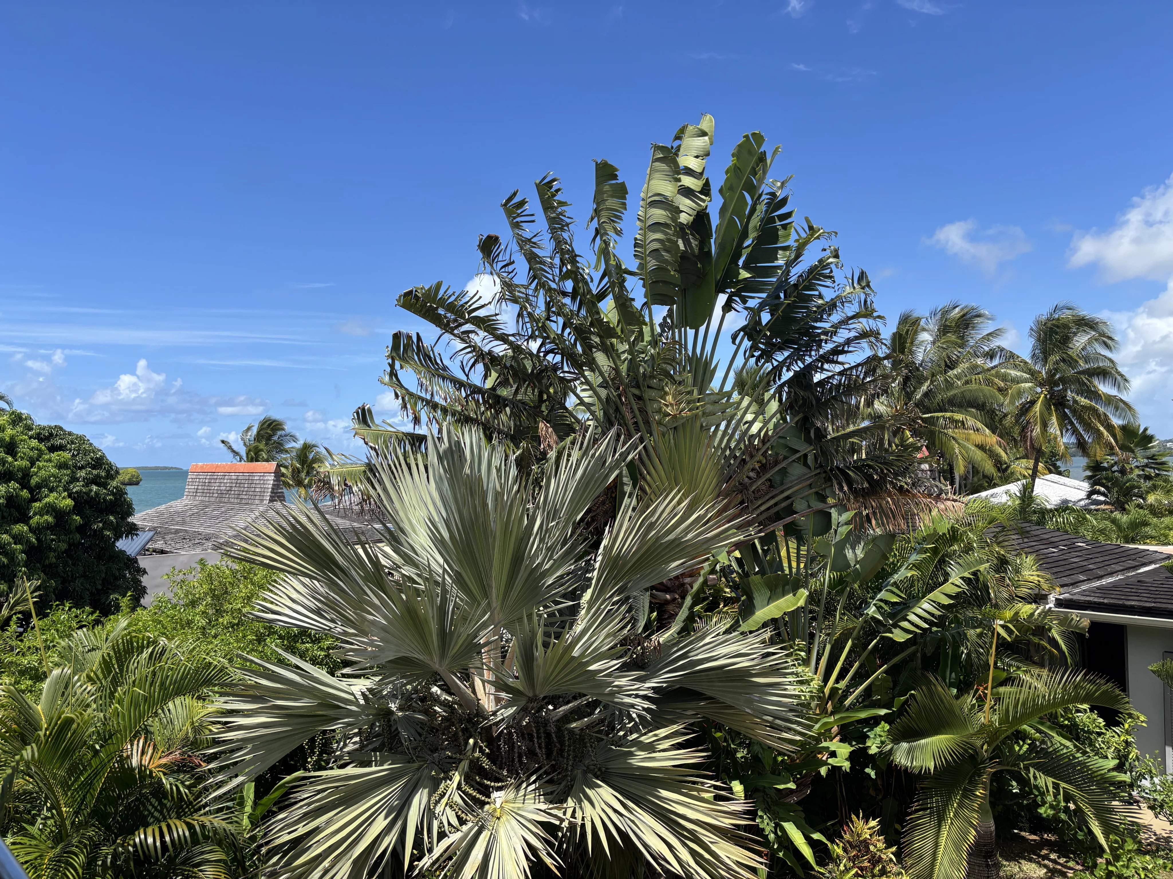 Vieux Grand Port  - Maison 7 Pi&egrave;ces 6 Chambres - picture 18